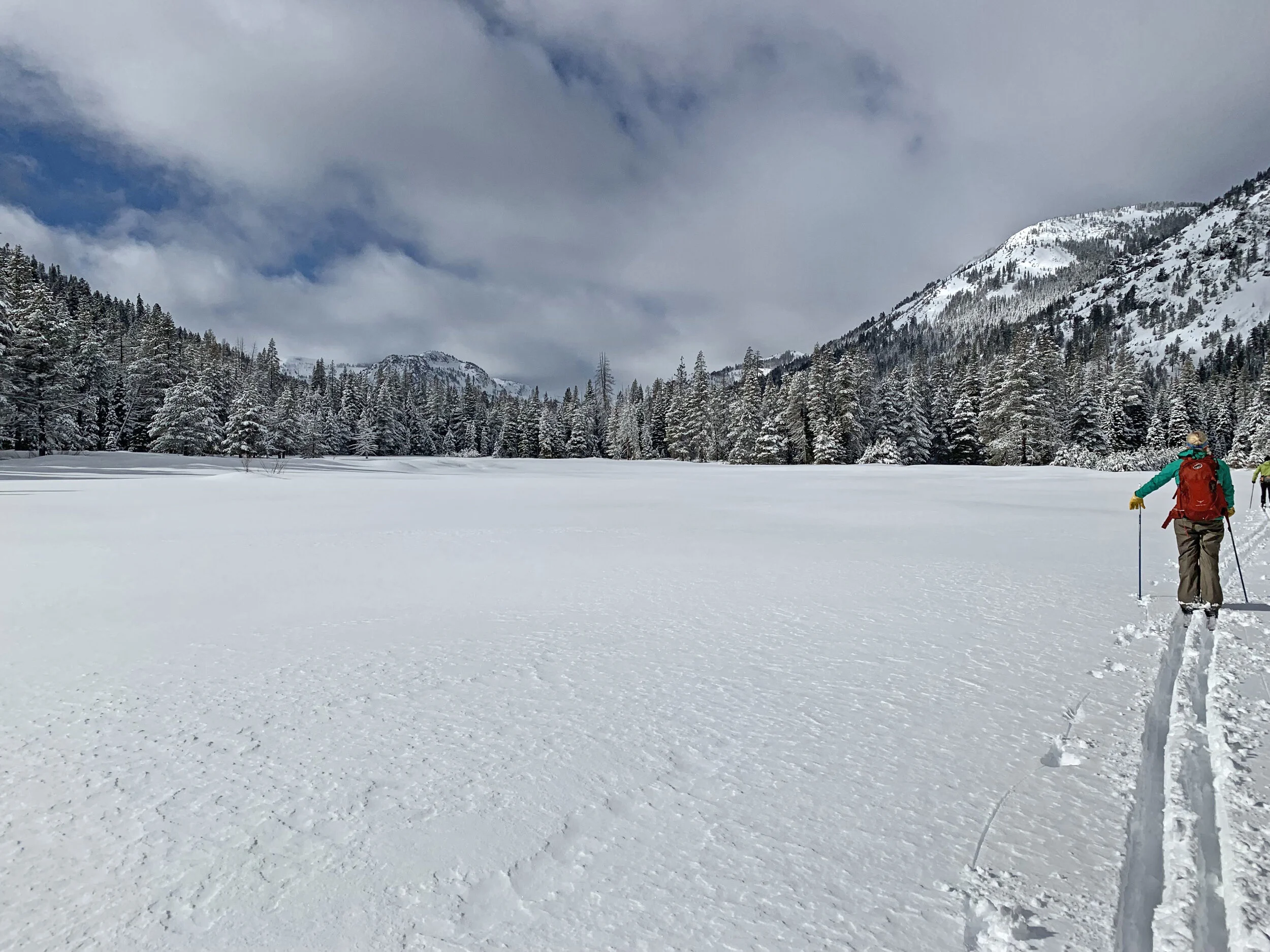 Join the Land Trust for an XC Ski this Winter
