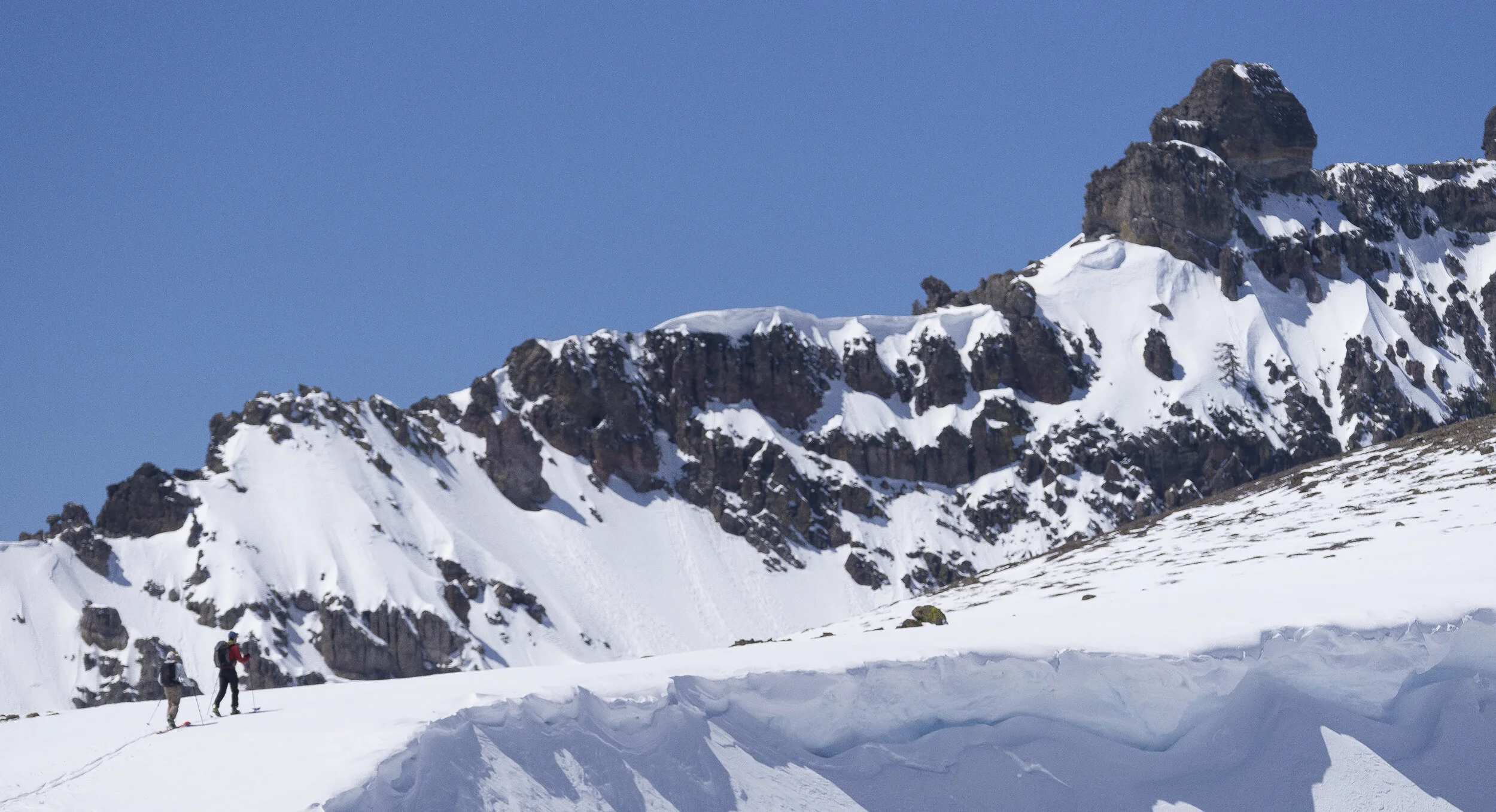 Become a Monthly Donor to Support Conservation