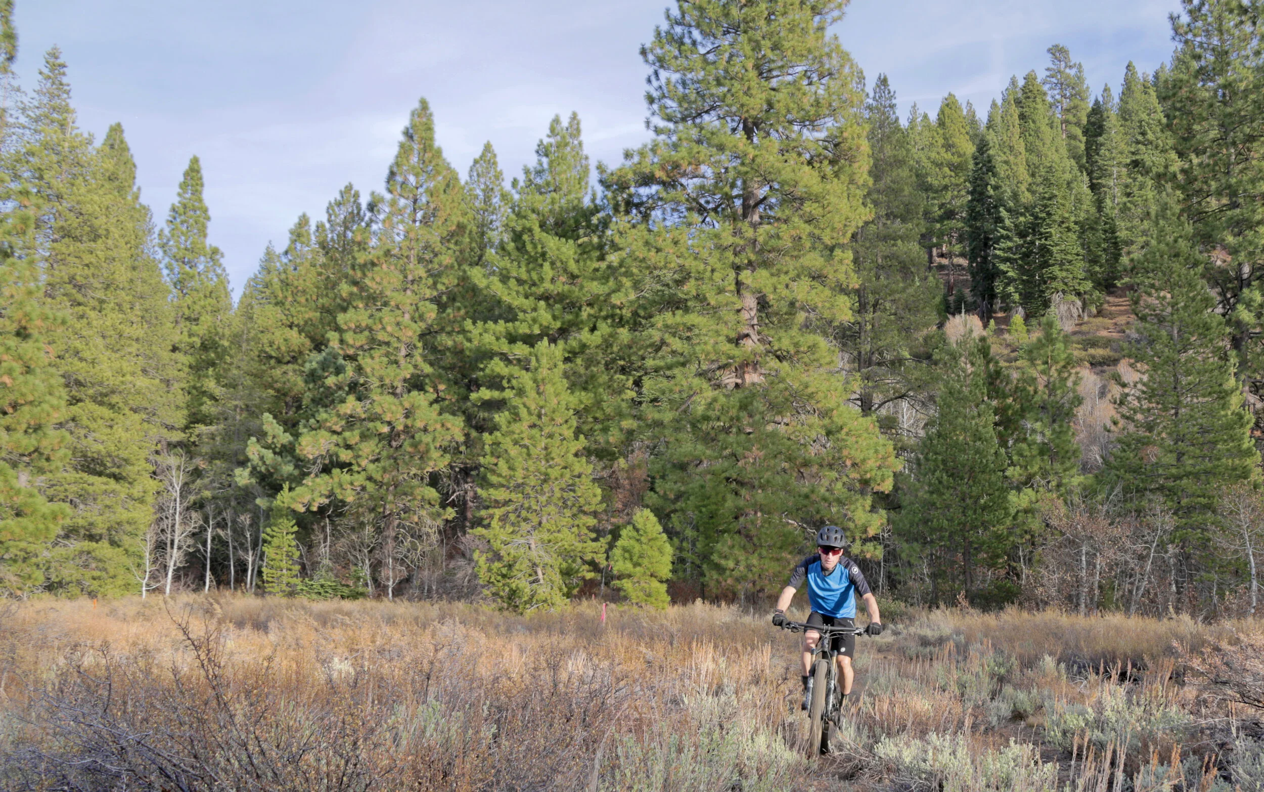 Truckee Springs Update: Thanks to Grant Funders &amp; Community Committee