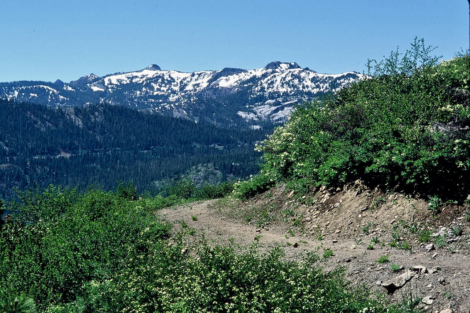 Land Trust Activities &amp; COVID-19 Update