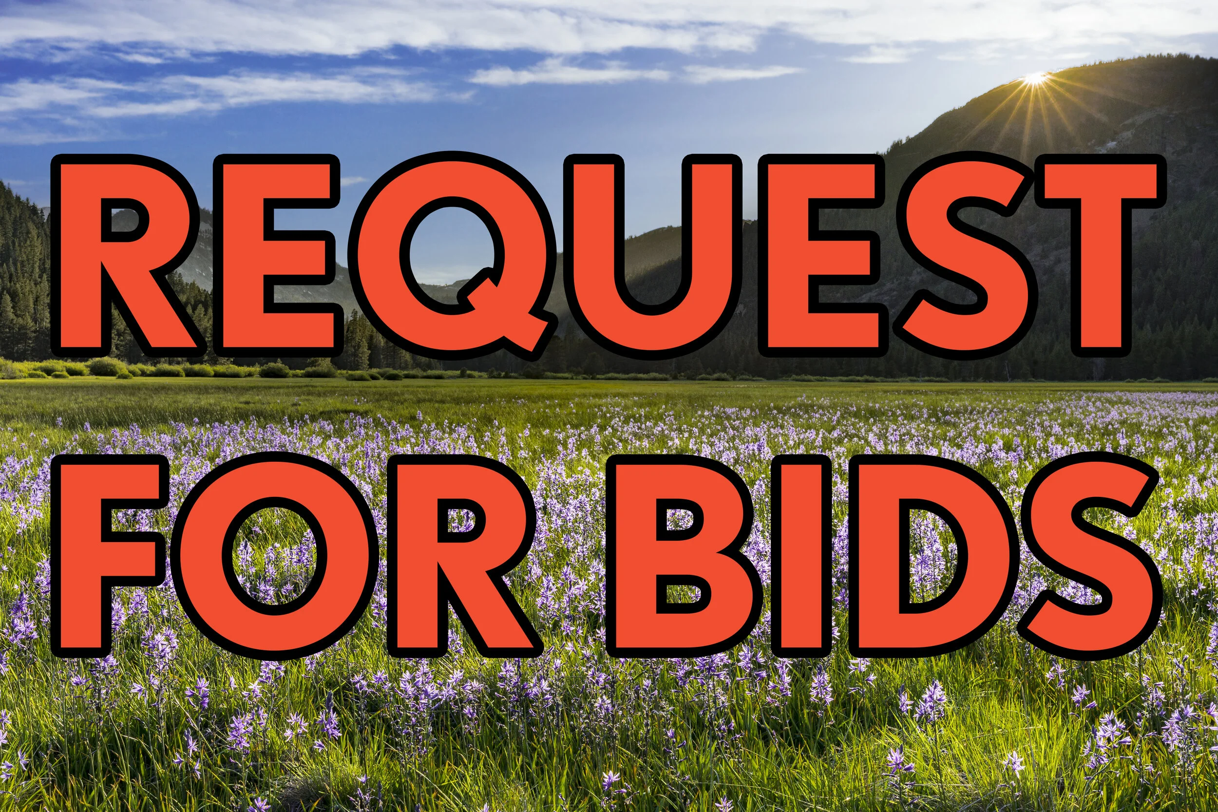 Public Project Proposal - Request For Bids