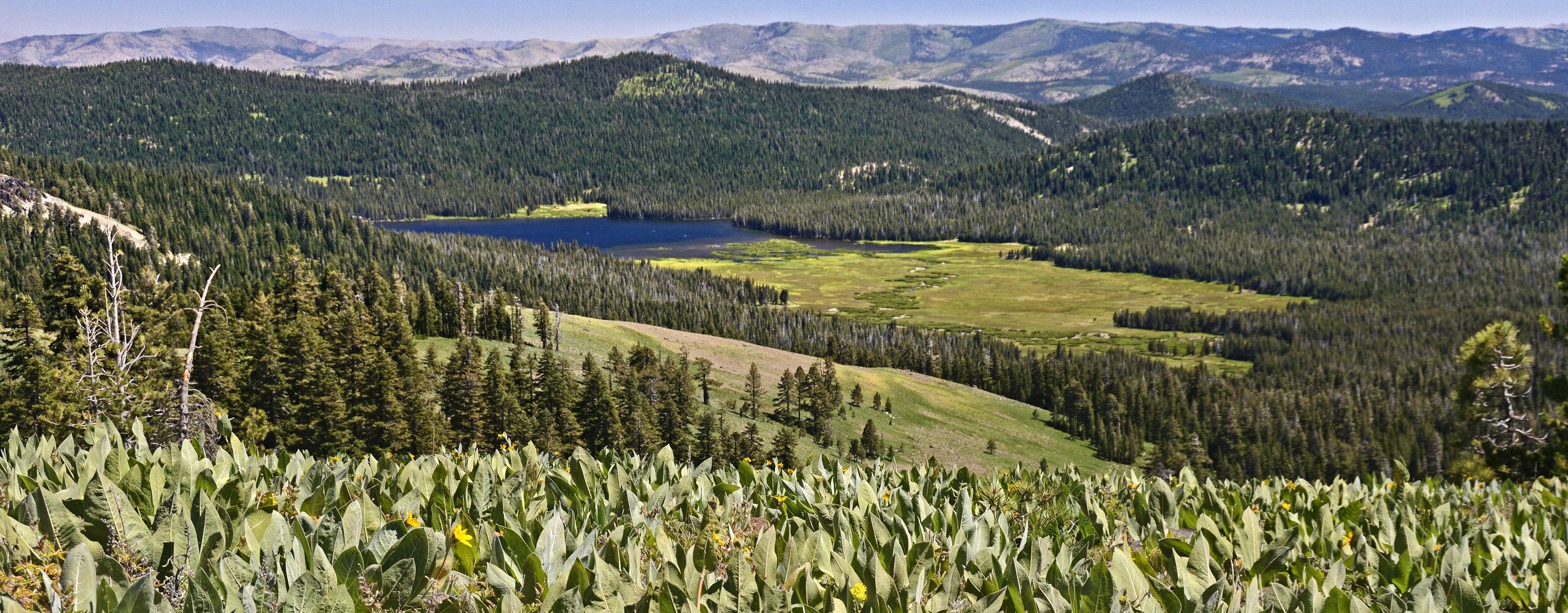 Every Donation Makes a Difference