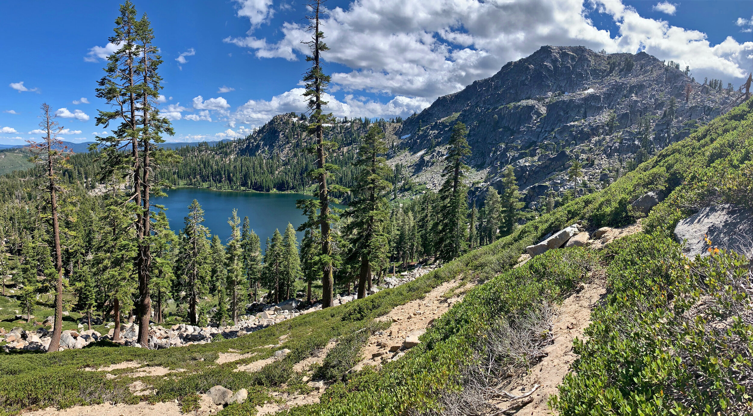 Real Estate Professionals Supporting Open Space