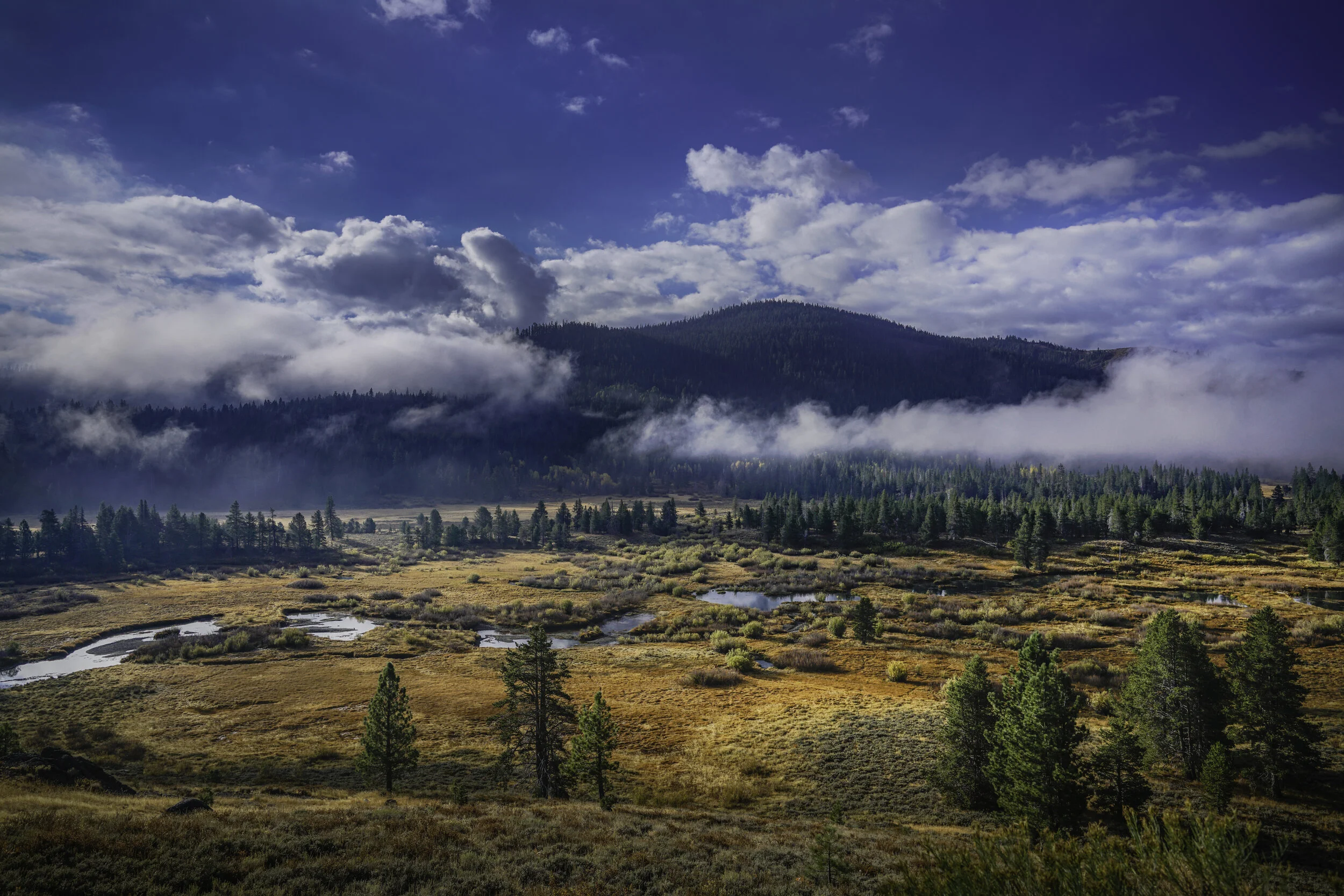 Partnering for Results: Northern Sierra Partnership