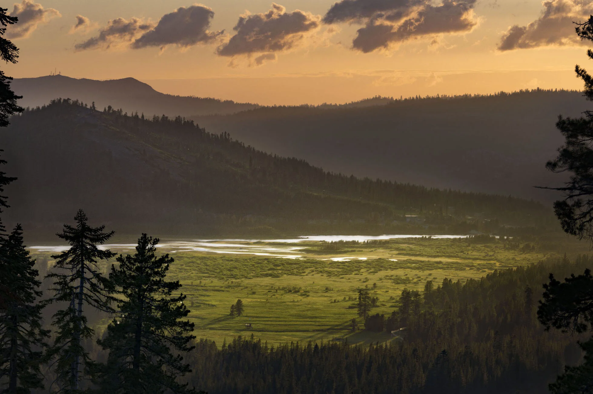 Tax Savvy Giving: Gifts of Stock