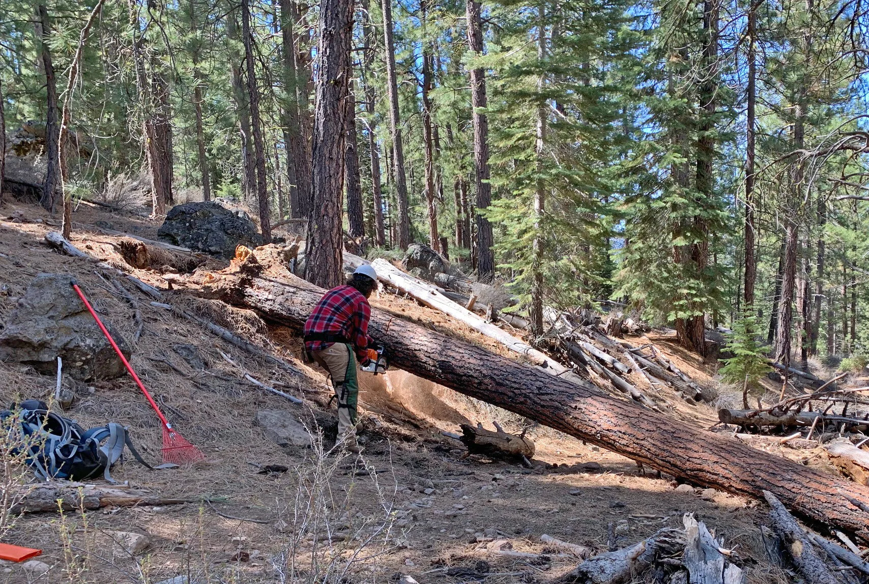 Protect and Enjoy: The Art and Science of Trailbuilding