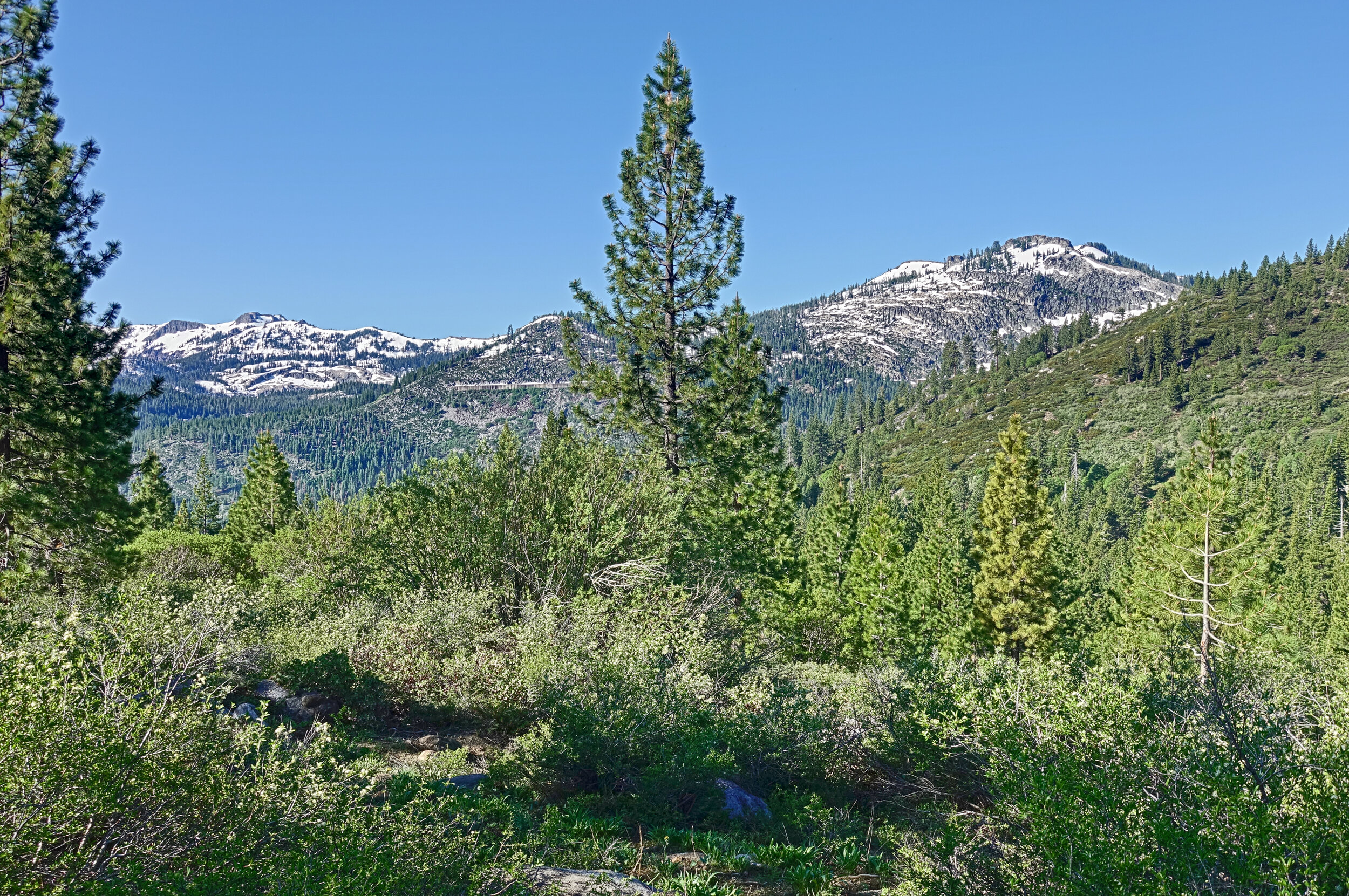 New Philanthropy Director, Stewardship Staff Join Land Trust