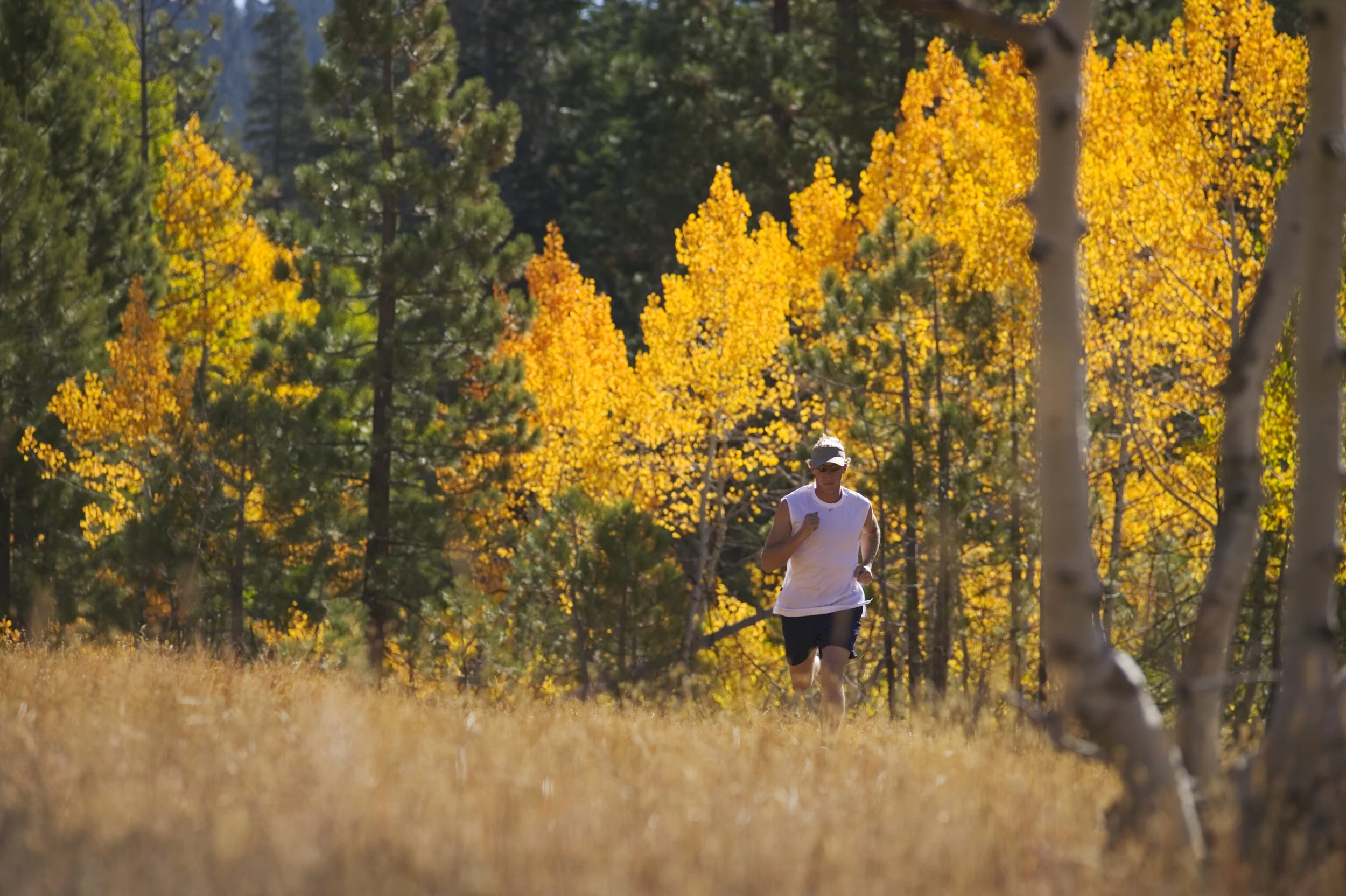 Why Your Friends and Neighbors Are Supporting Canyon Springs