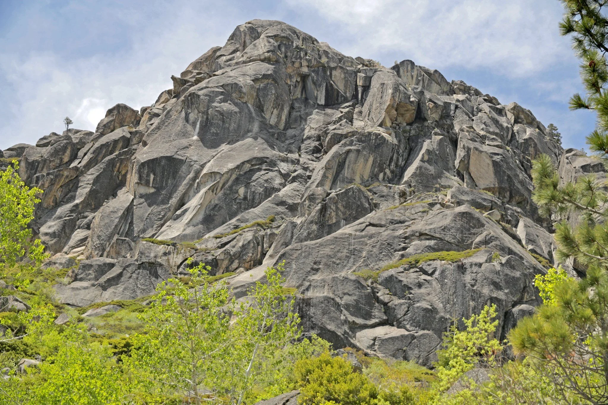 Your Planned Gift Builds a Legacy of Conservation