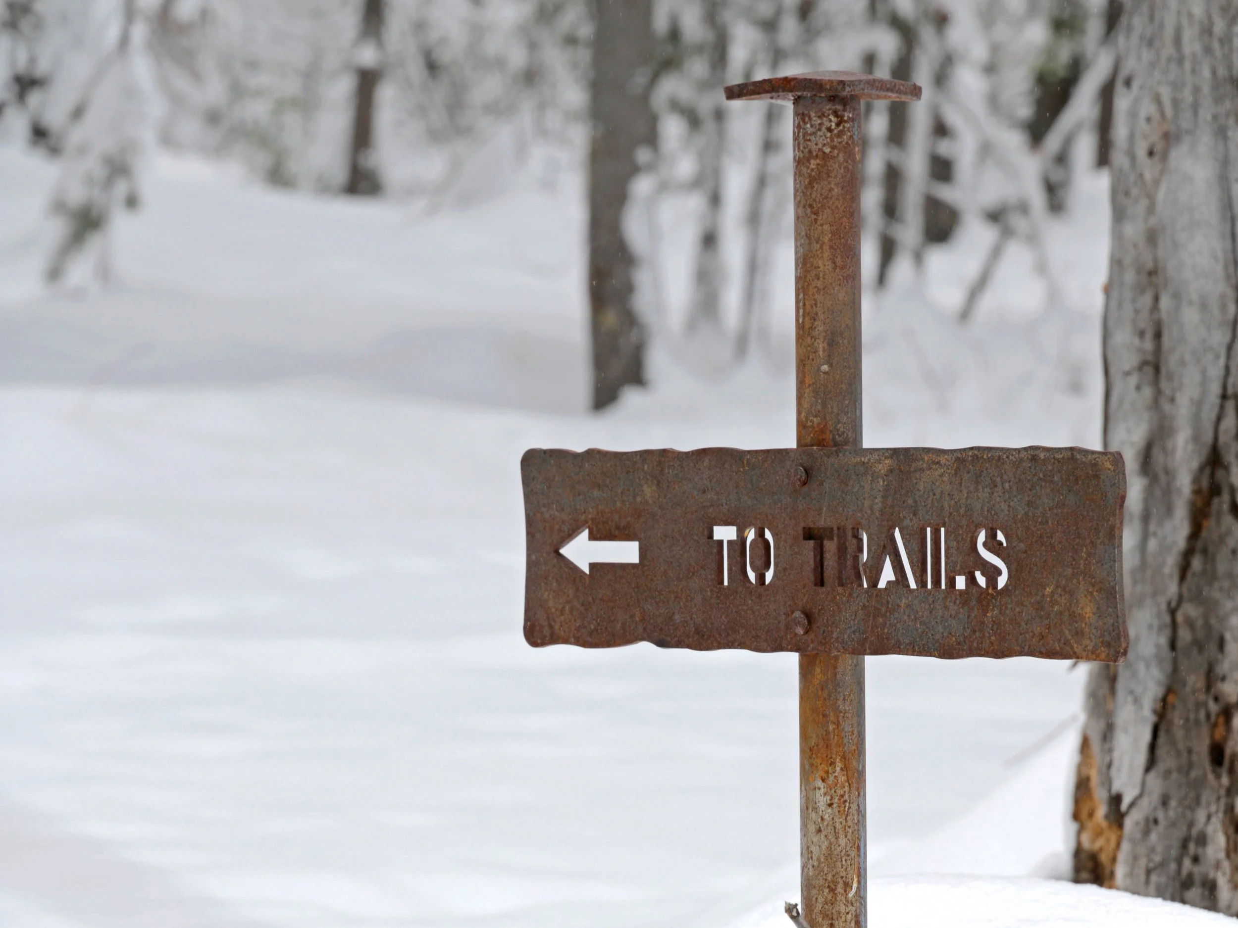 Being A Good Steward Starts at the Parking Lot