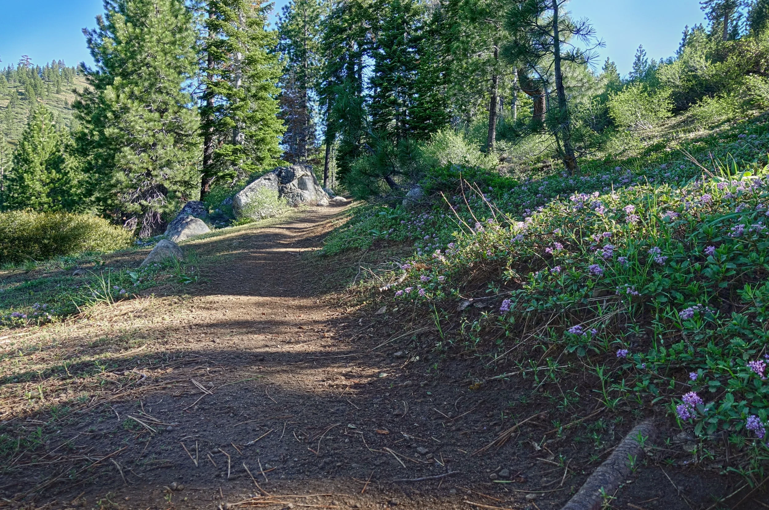 REPORT TRAIL CONDITIONS