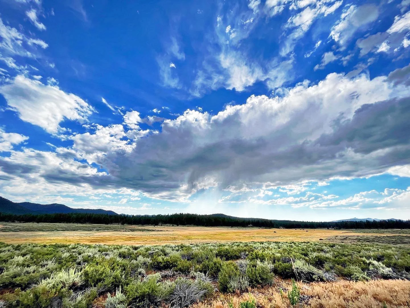 Hike of the Month: Martis Valley Trail