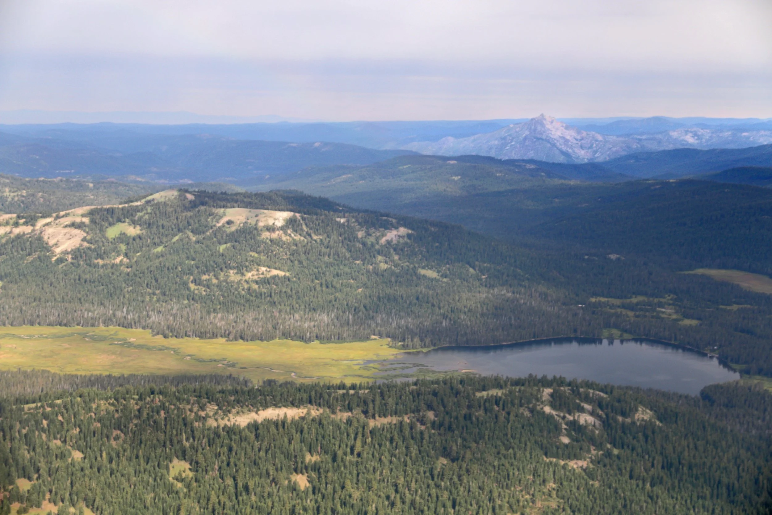 Truckee Donner Land Trust Working Toward More Than 800 Acres in Forest Health Work