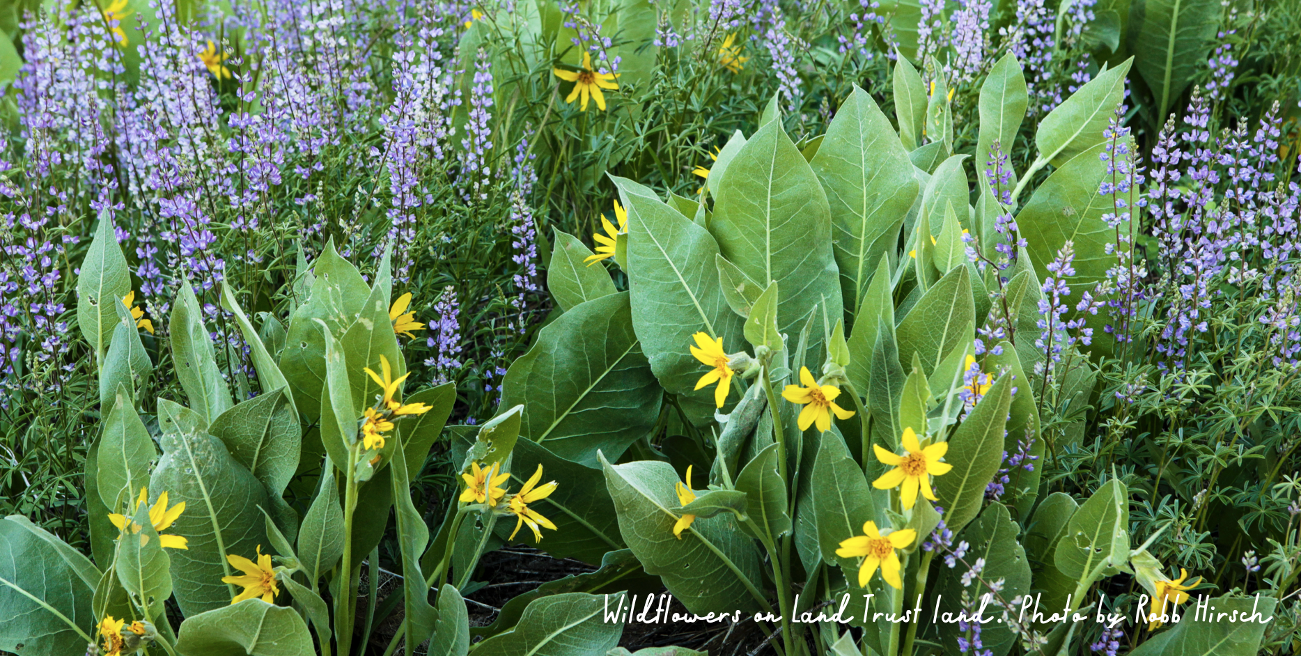 Your Support helps protect more land than you may know