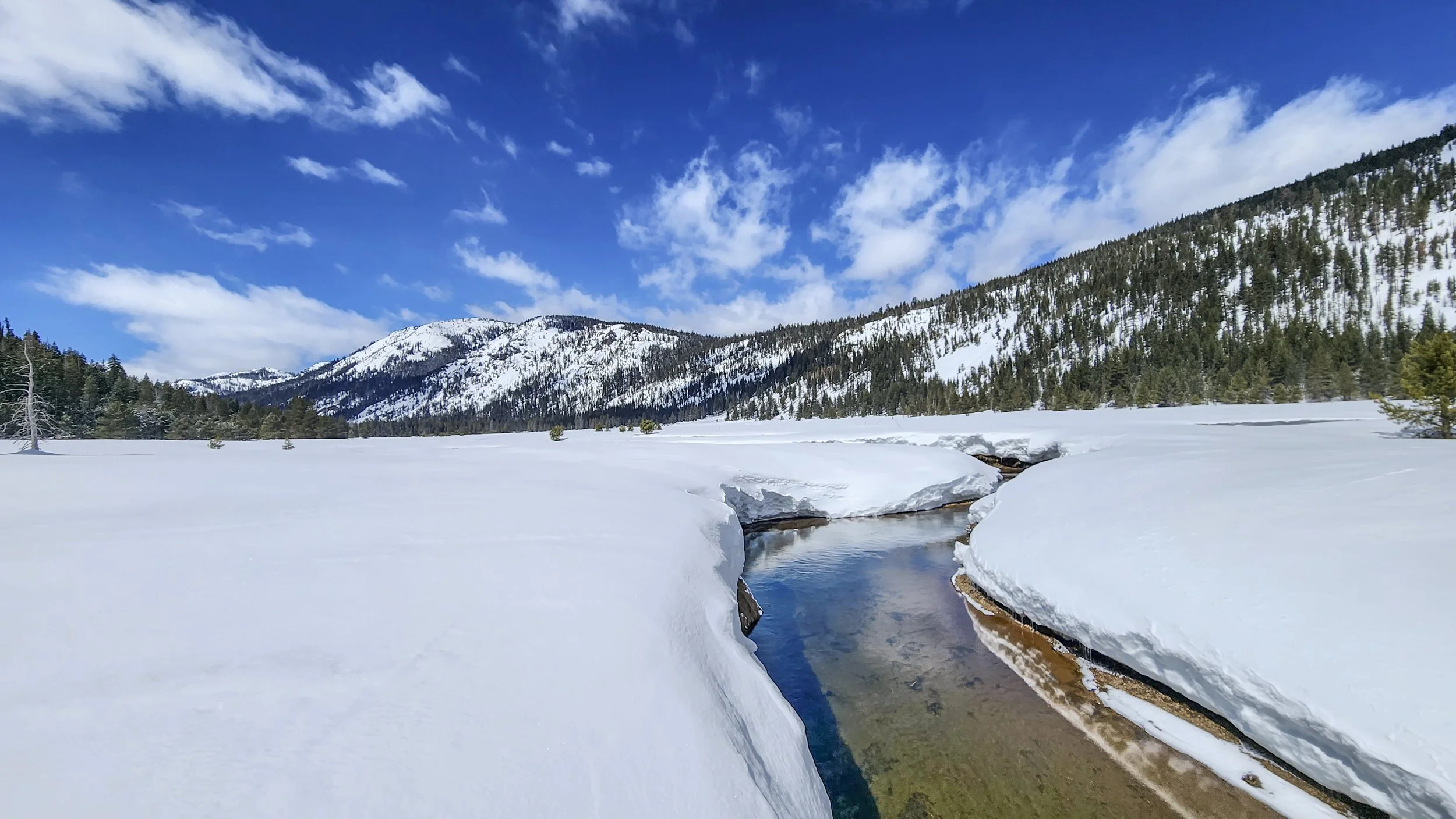 Help Summer Conservation and Stewardship after a Record Breaking Winter