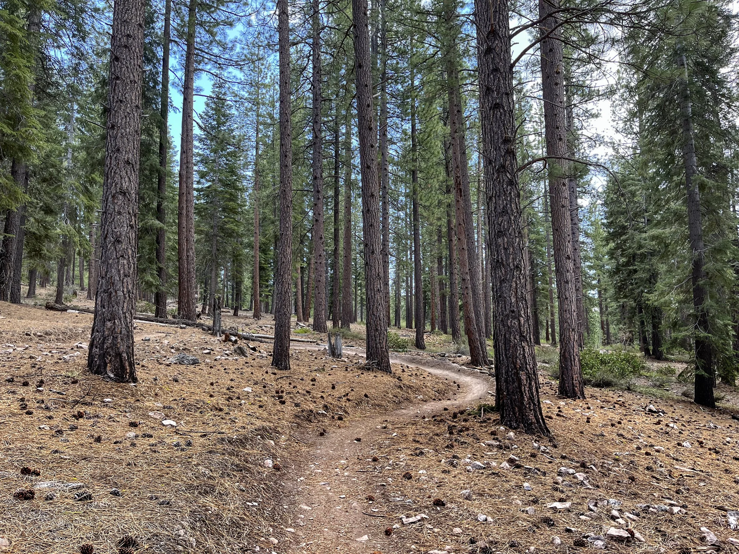 Spring 2023 Trails Update