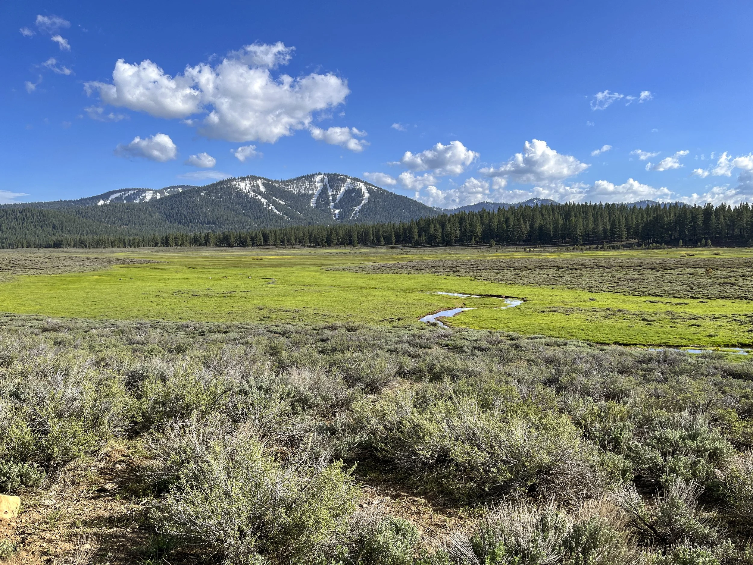 Hike of the Month: Tompkins Memorial Trail