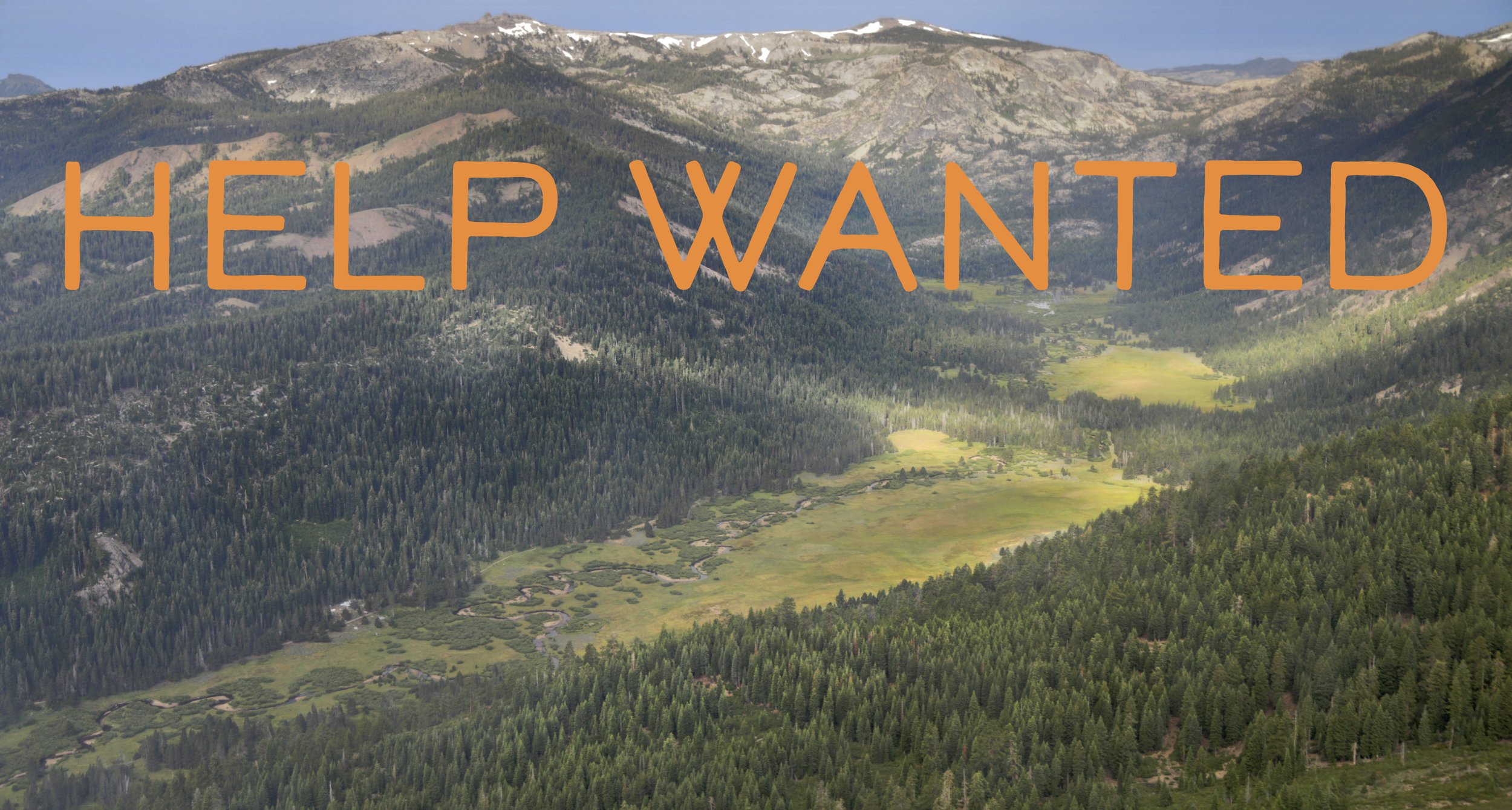 Summer Job Opening at Lower Carpenter Valley