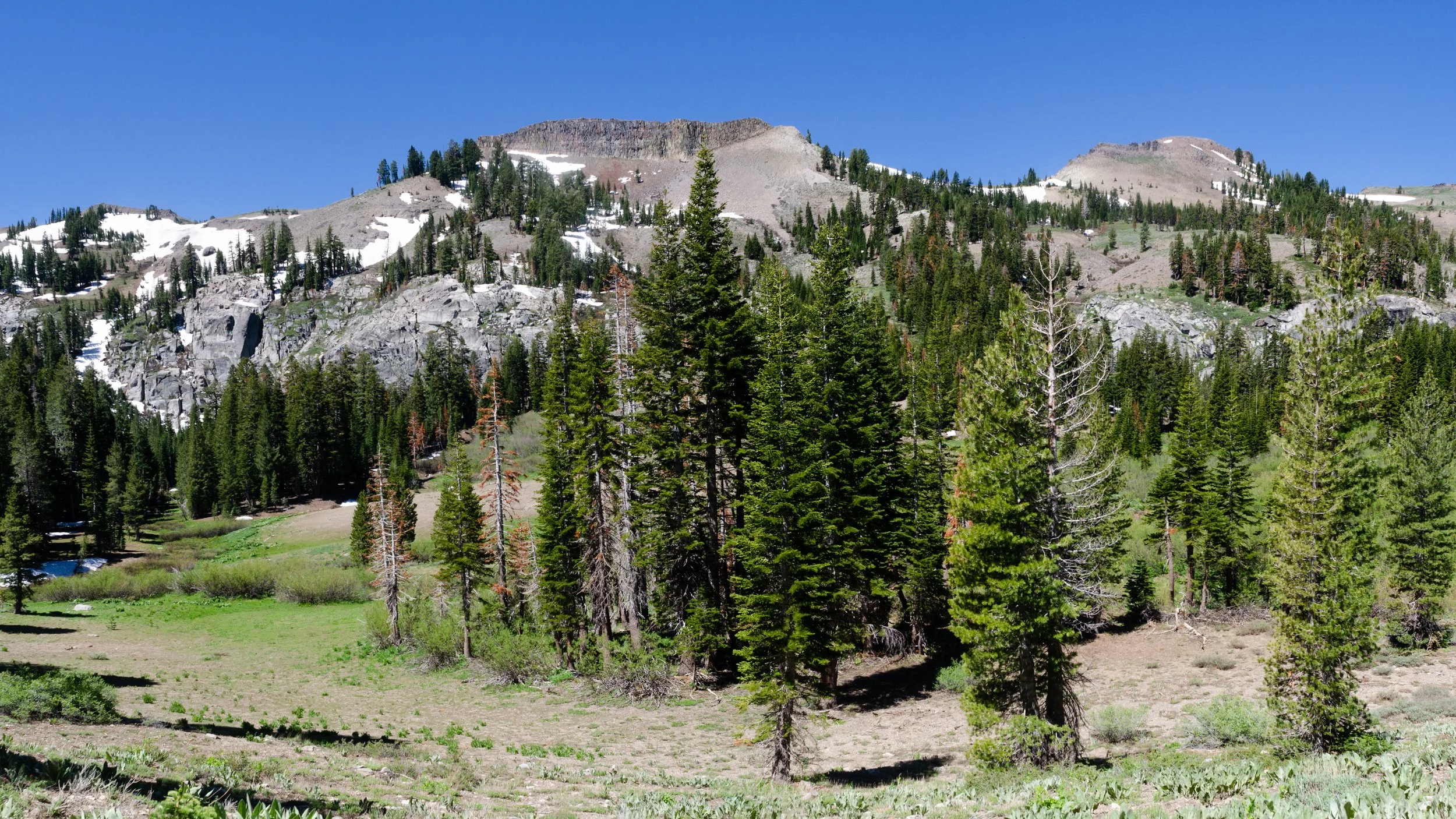 Announcing Two New Land Conservation Projects!