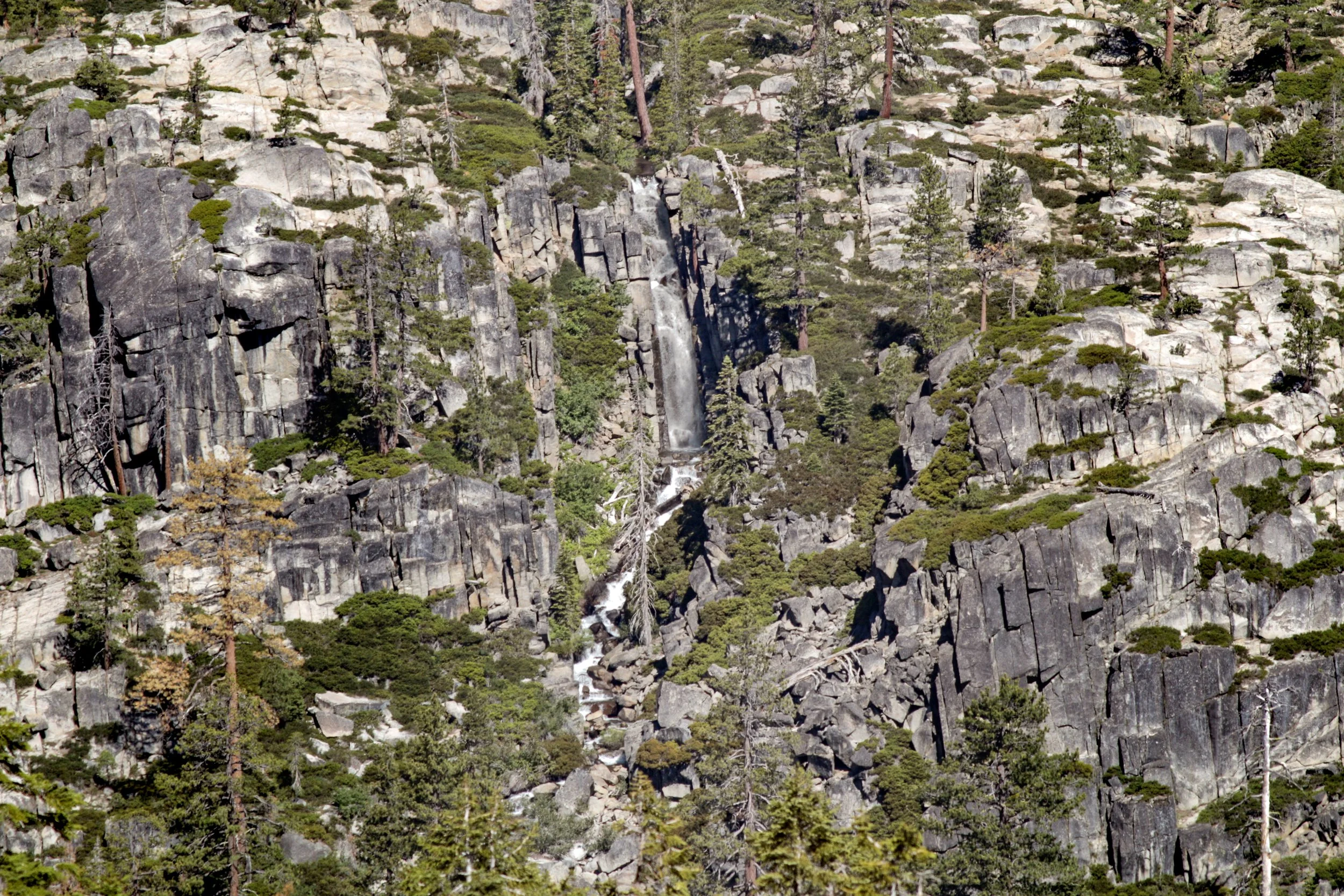 Truckee Donner Land Trust Acquires Headwaters of Carpenter Valley