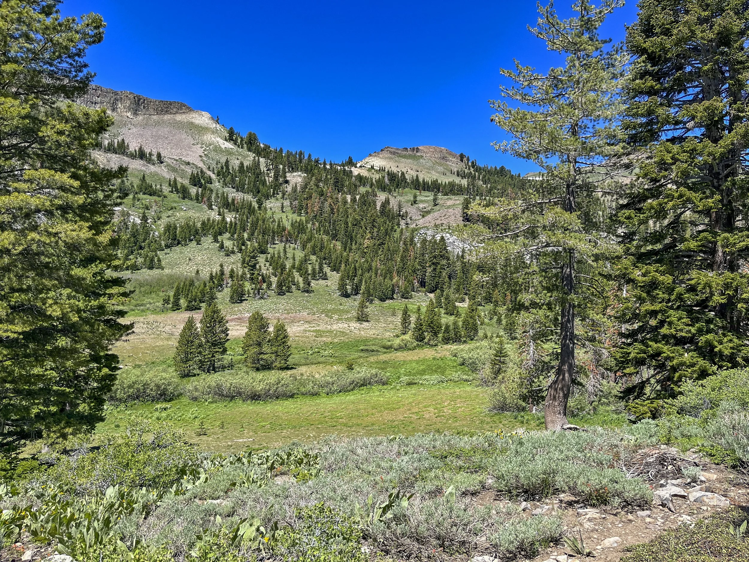 Truckee Donner Land Trust secures Pole Creek watershed conservation