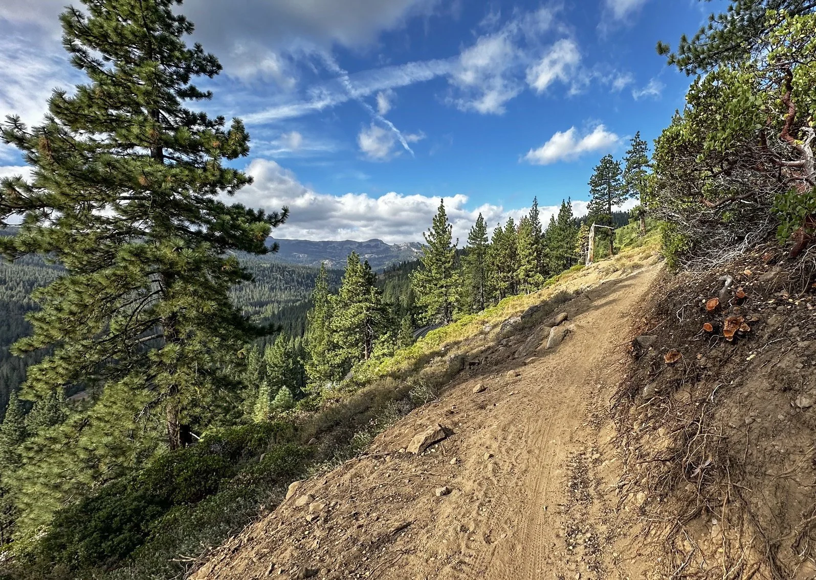 Donner Lake Rim Trail South 2026 Update