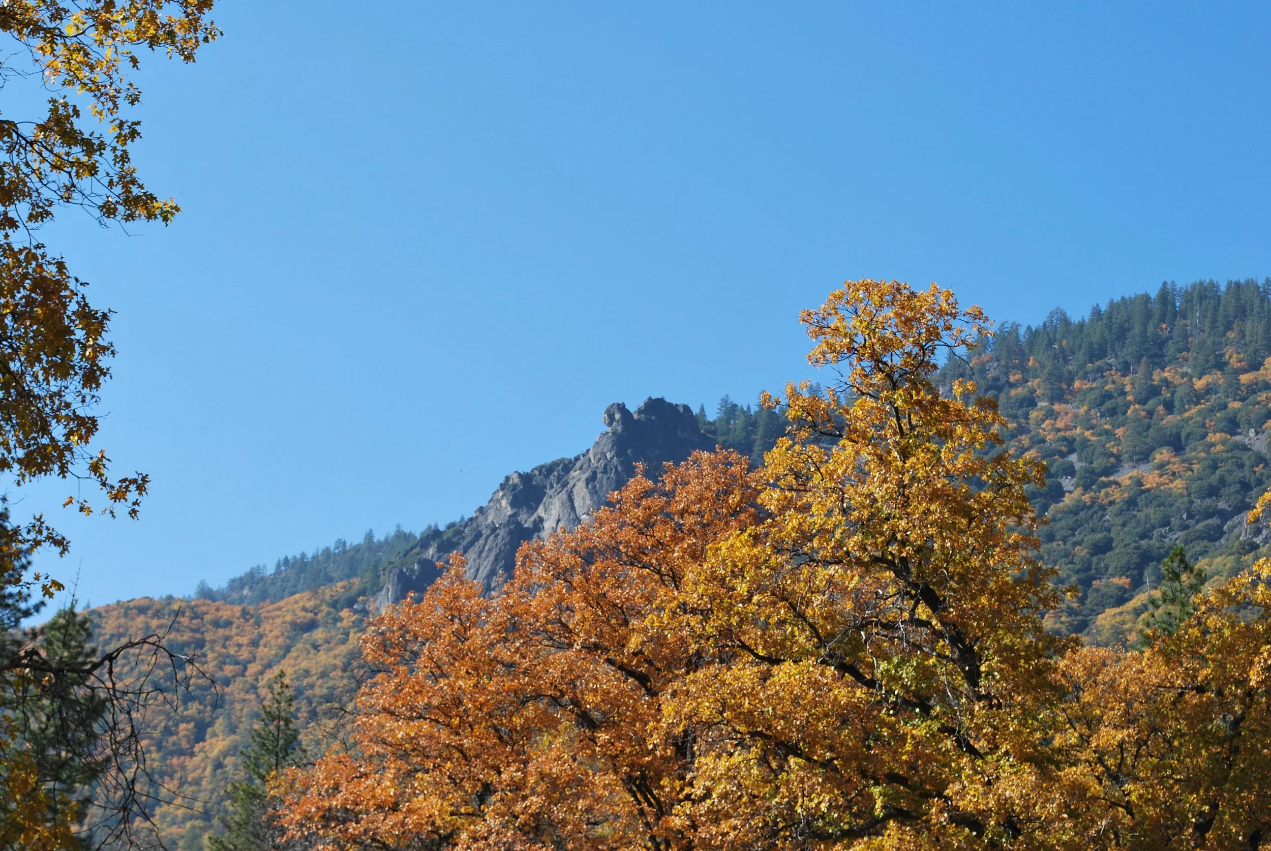 Hike of the Month Fall Color Field Trip — Truckee Donner Land Trust