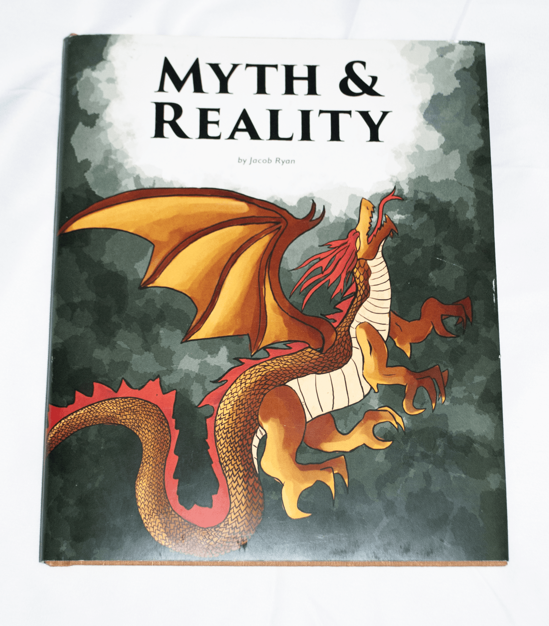 senior book cover.png