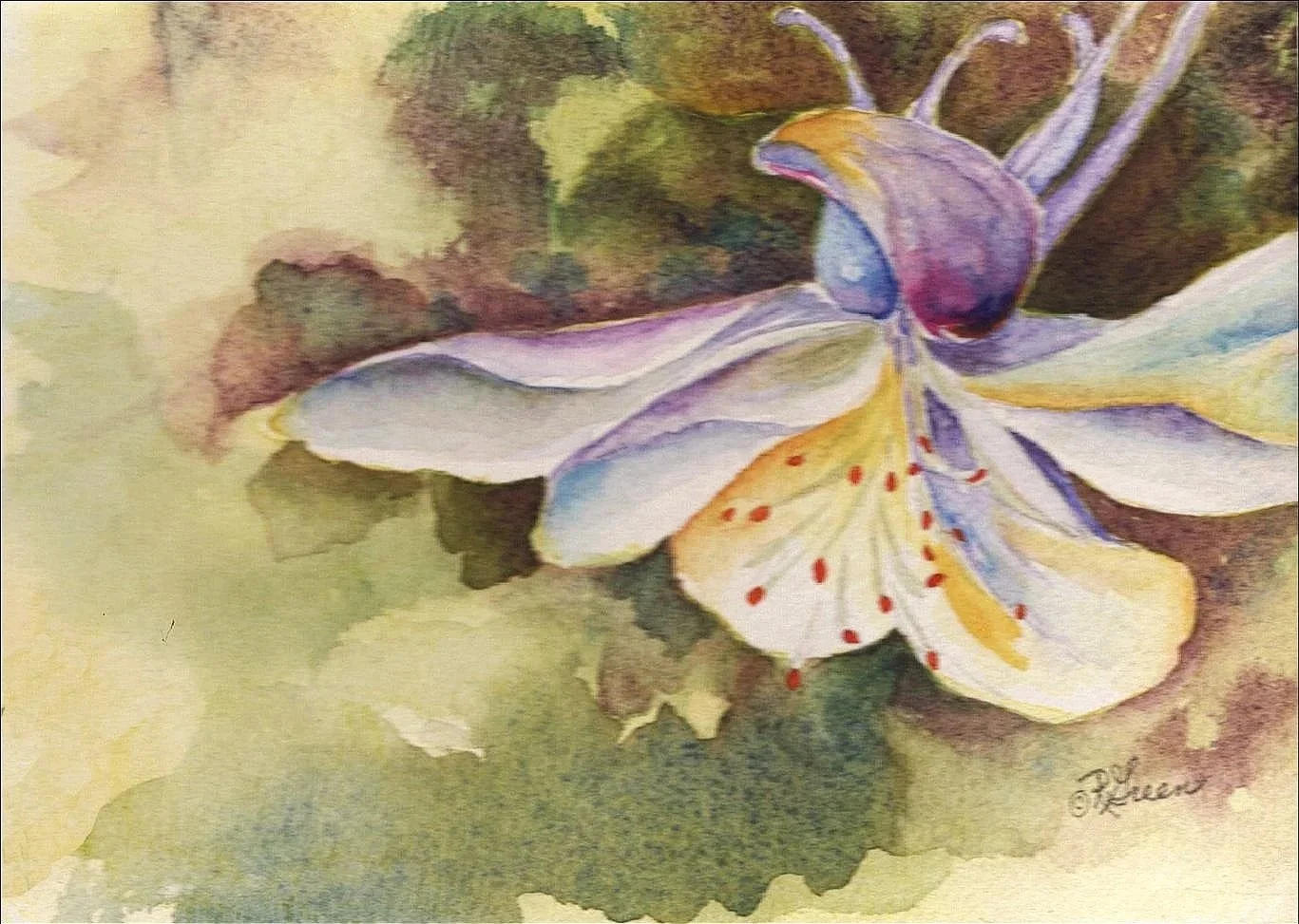 Along Hyde Park Road #1