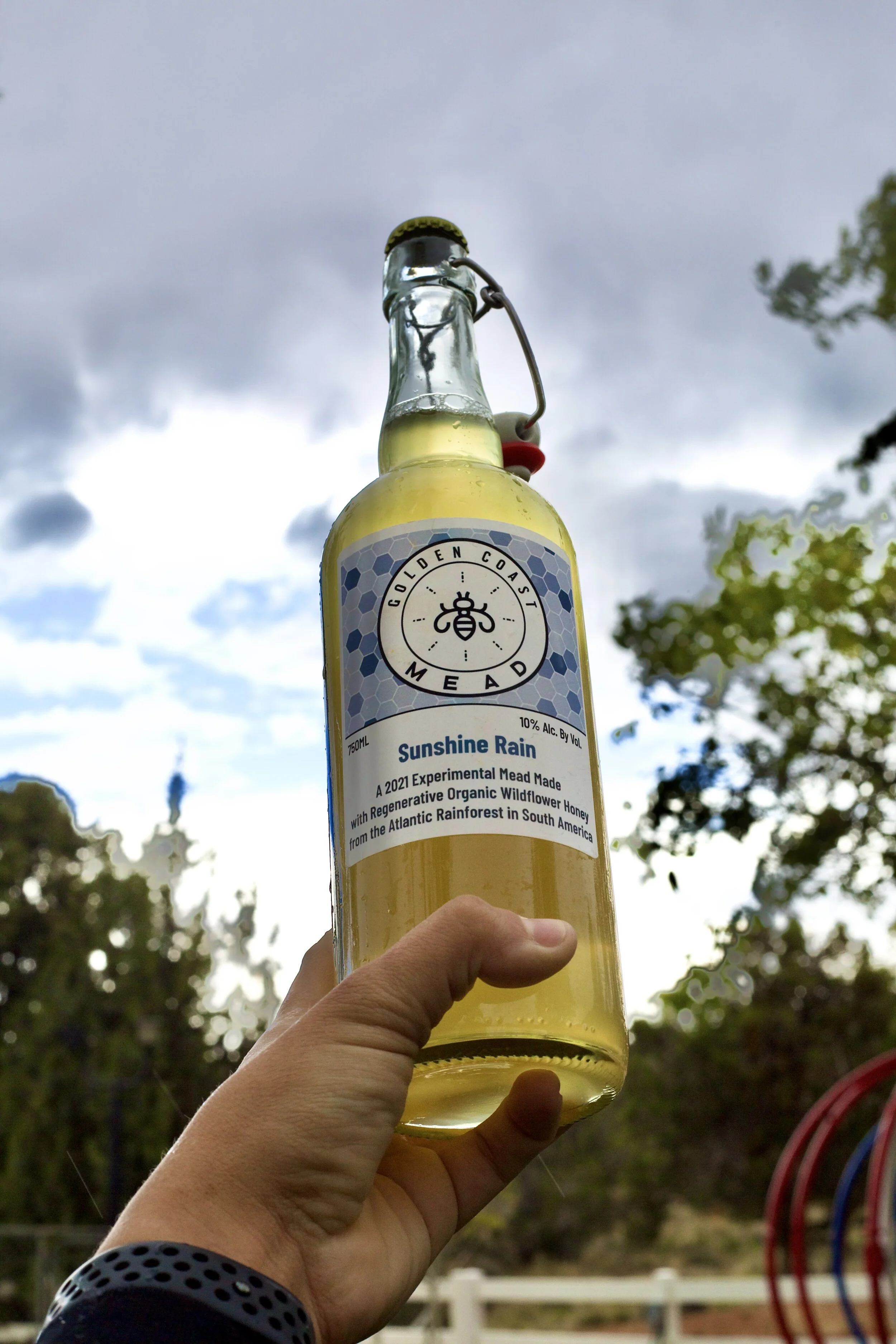 Sunshine for your Spring Cleaning!