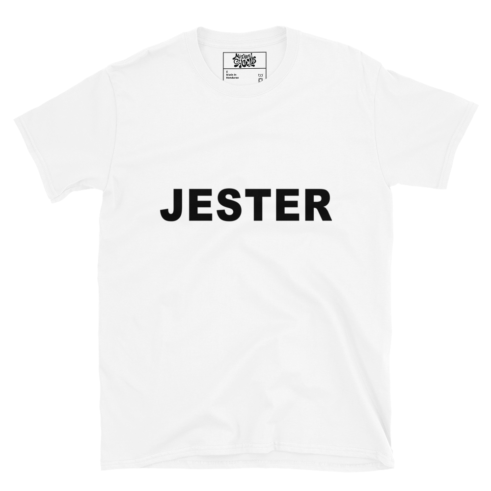 unisex-basic-softstyle-t-shirt-white-front-66ea17c94543f.png