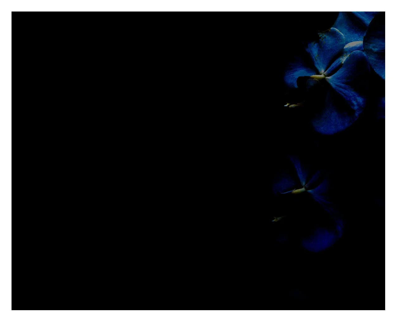 B2_2026