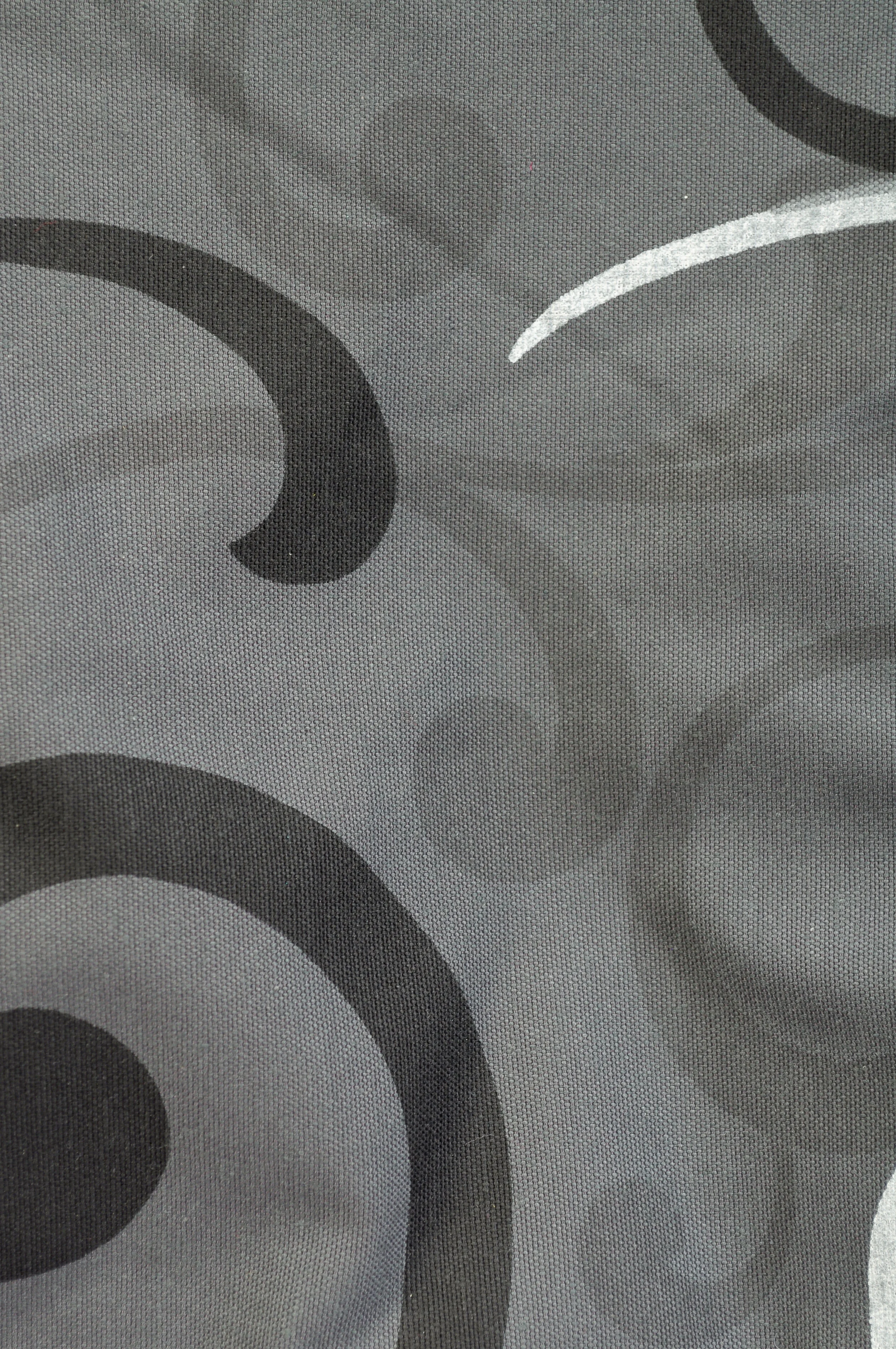 Filigree Grey Princess Fabric.JPG