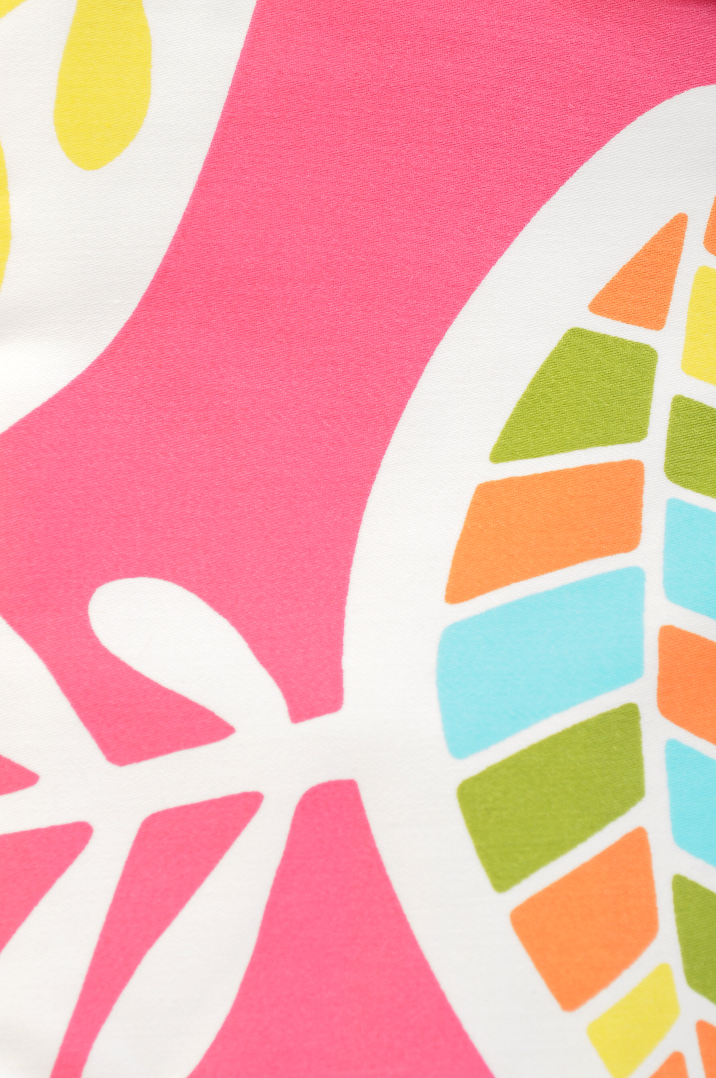 Grapefruit Princess Pink Fabric.JPG