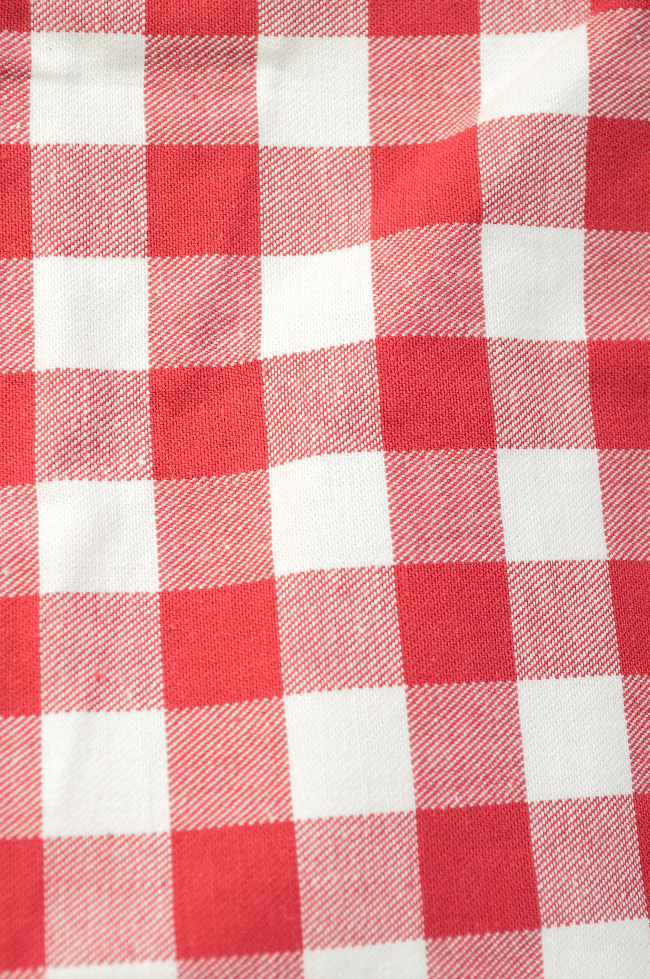 Red Gingham Princess Fabric.JPG