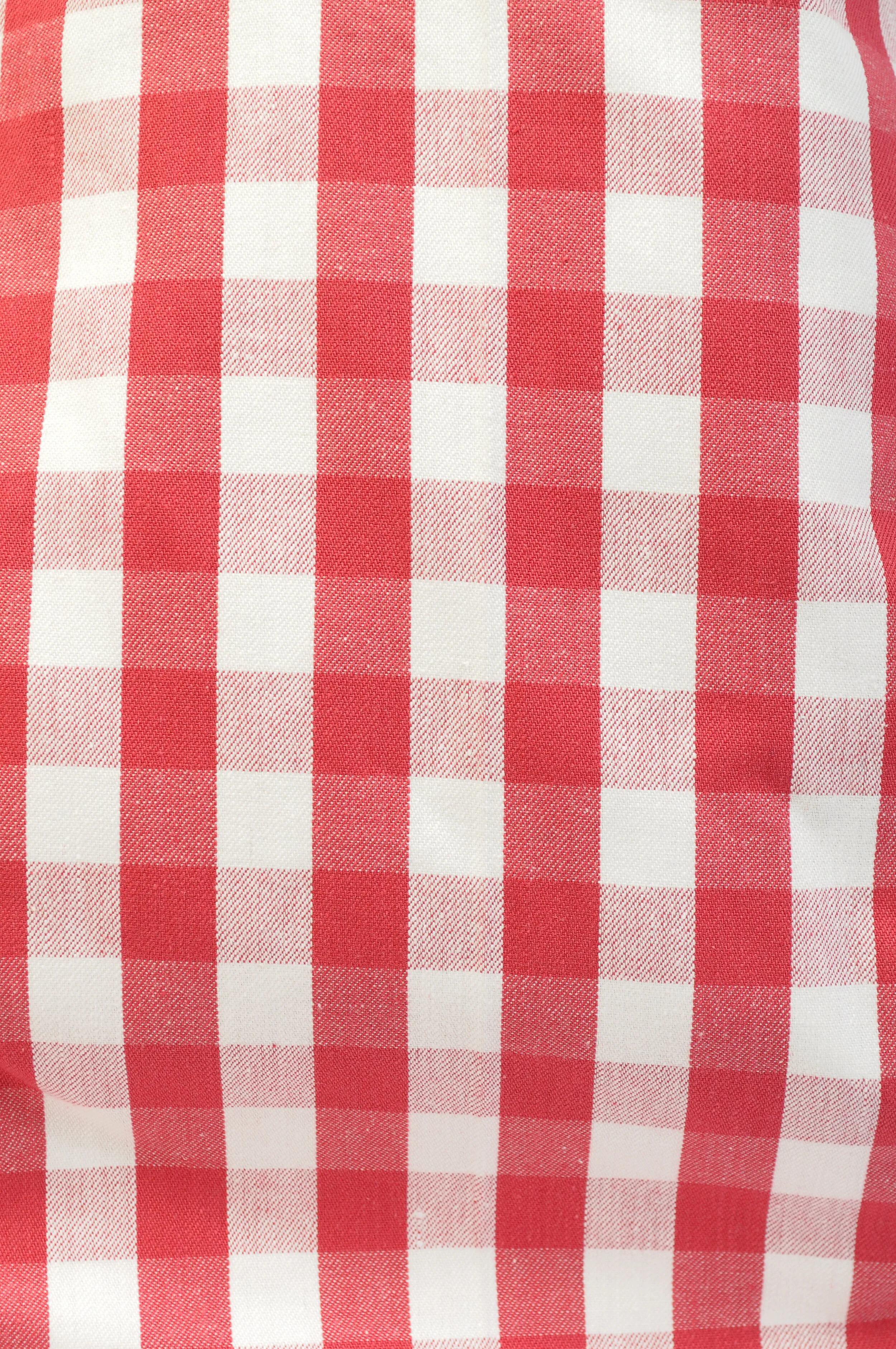 Red Gingham Reversible Fabric.JPG