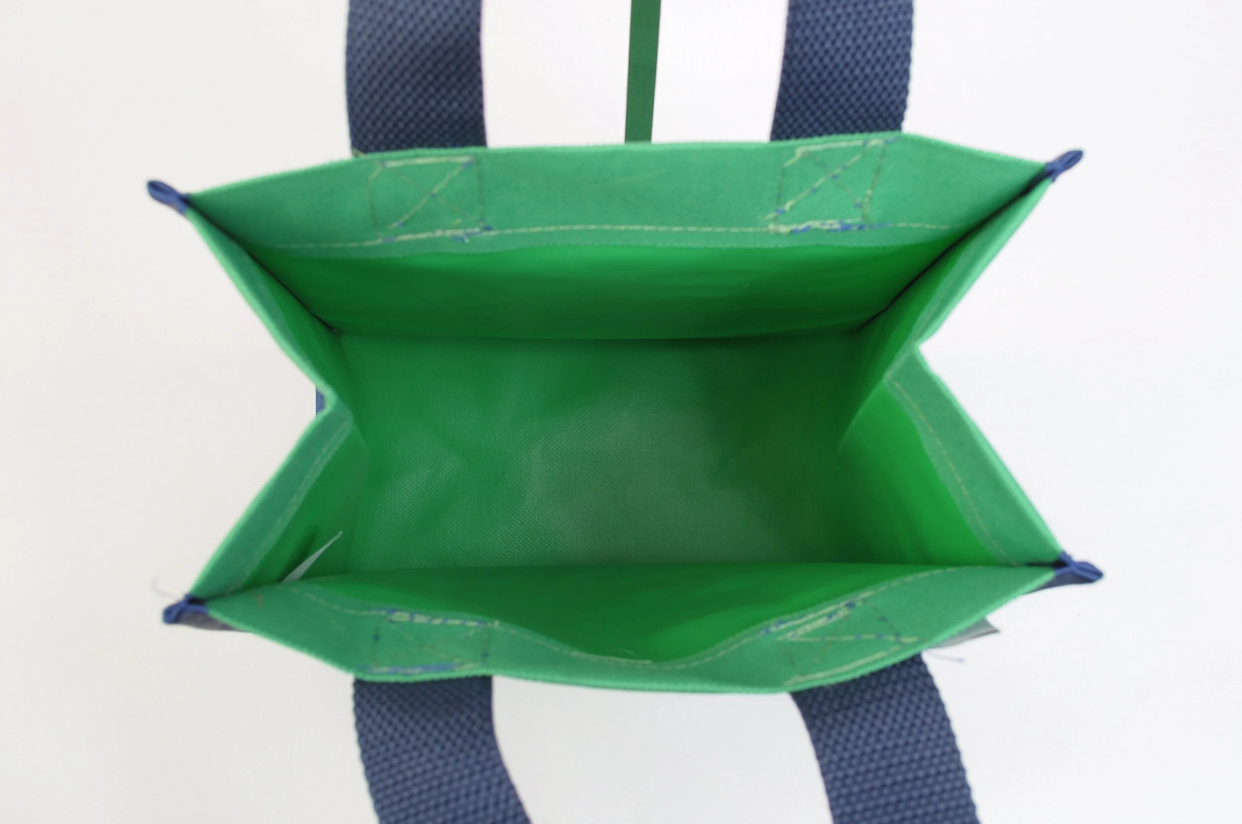 Green Gecko Ball Tiny Tote Interior.JPG