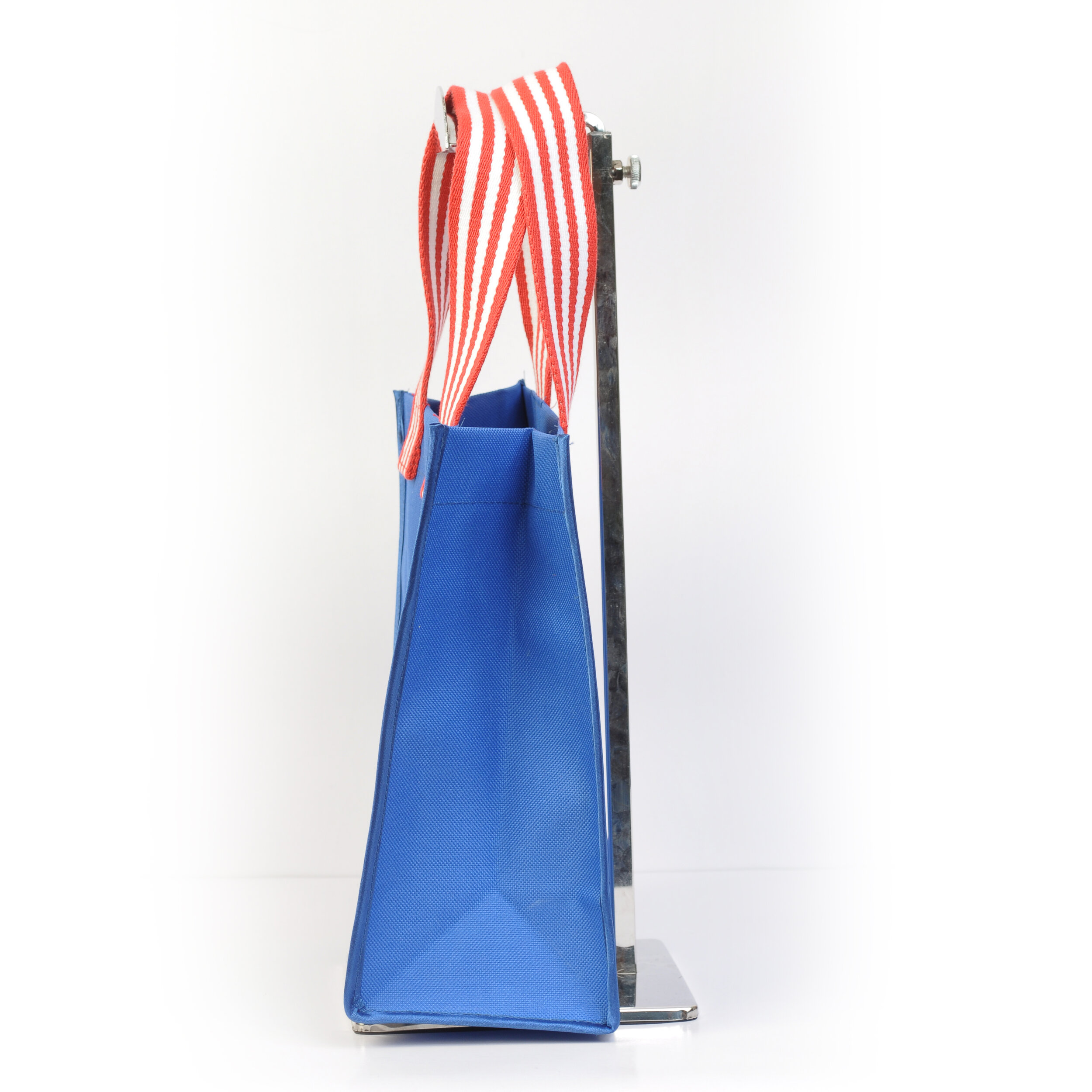Patriotic Gecko Tiny Tote Side 1x1.jpg