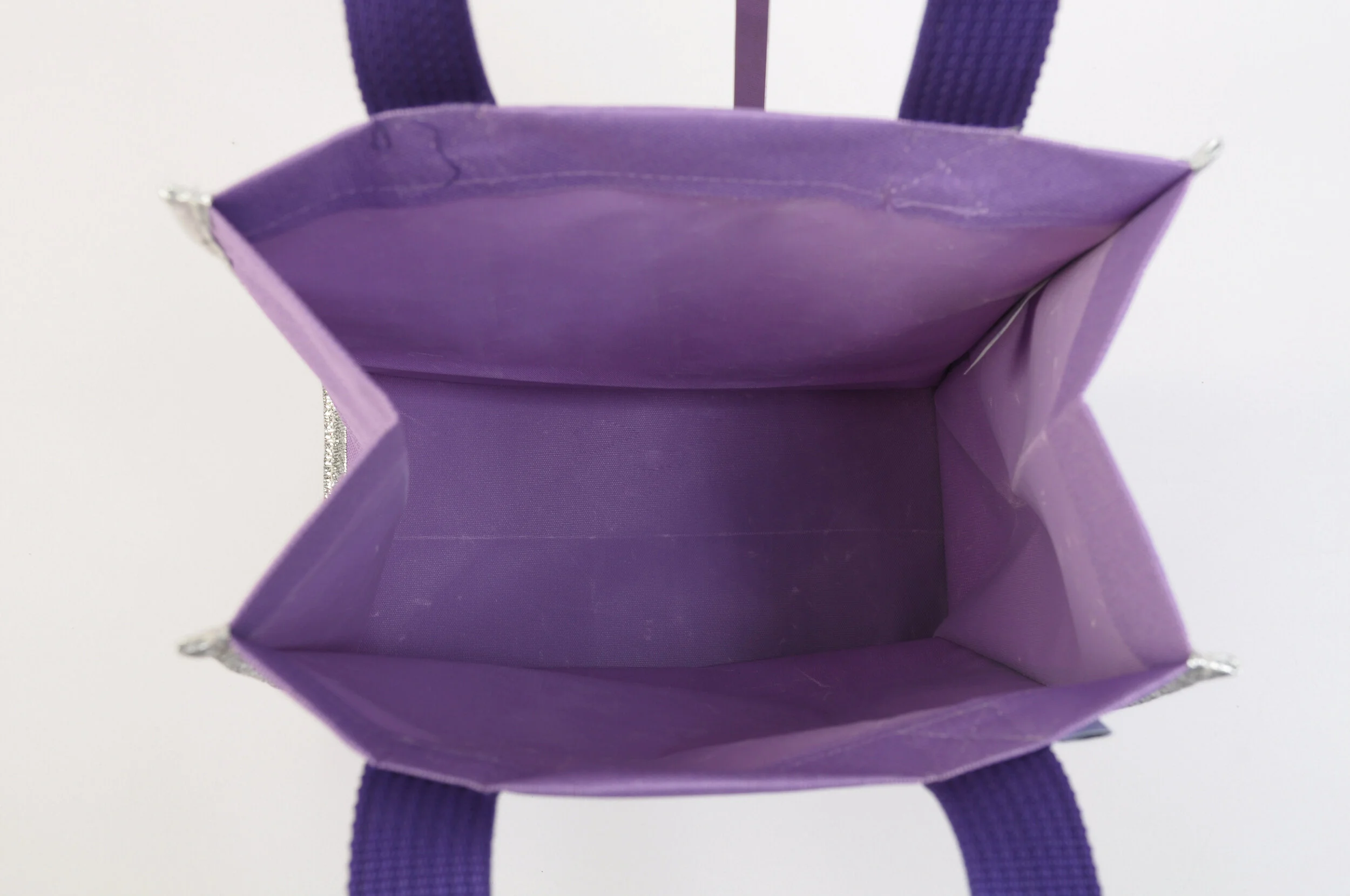 Purple Dance Tiny Tote Interior.JPG
