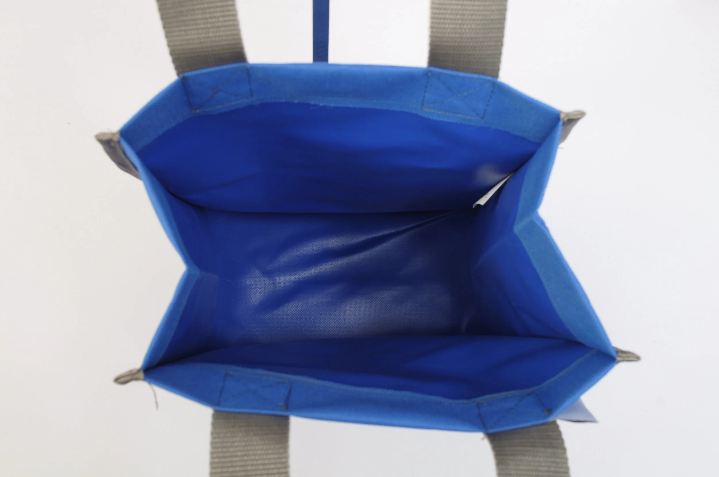 Royal Gecko Ball Tiny Tote Interior.JPG