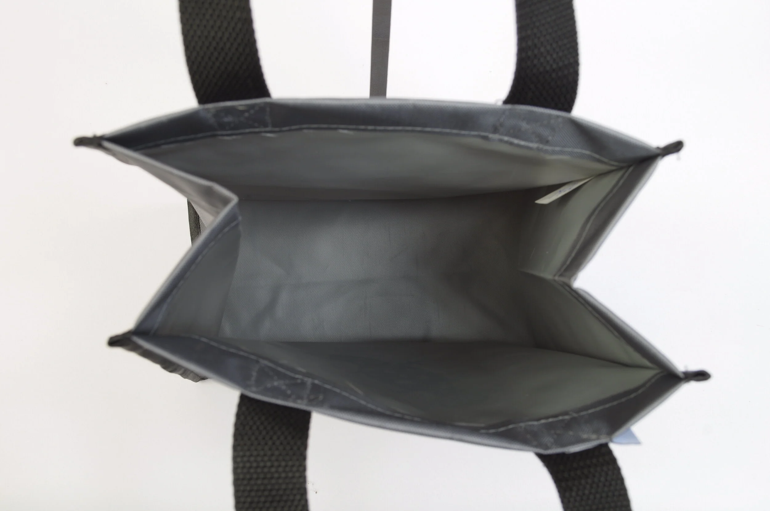 Silver Black Gecko Ball Tiny Tote Interior.JPG