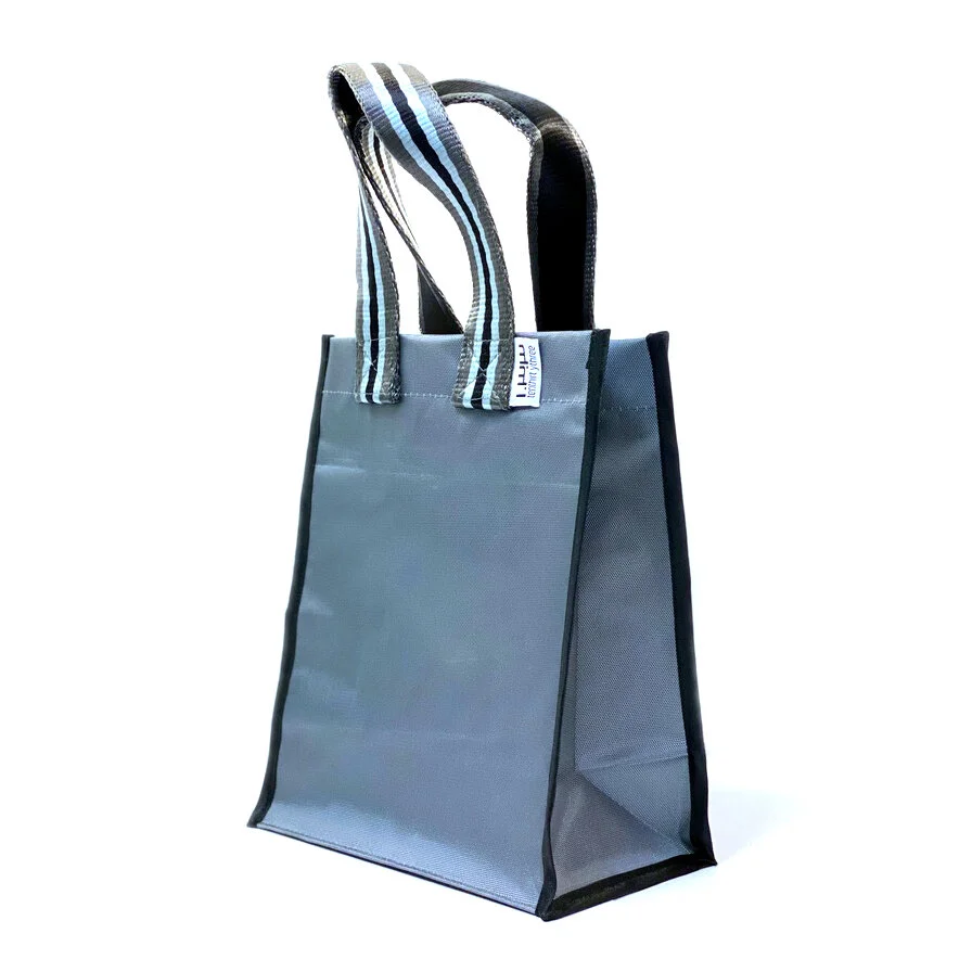 Silver Tiny Tote Perspective 1x1.jpg