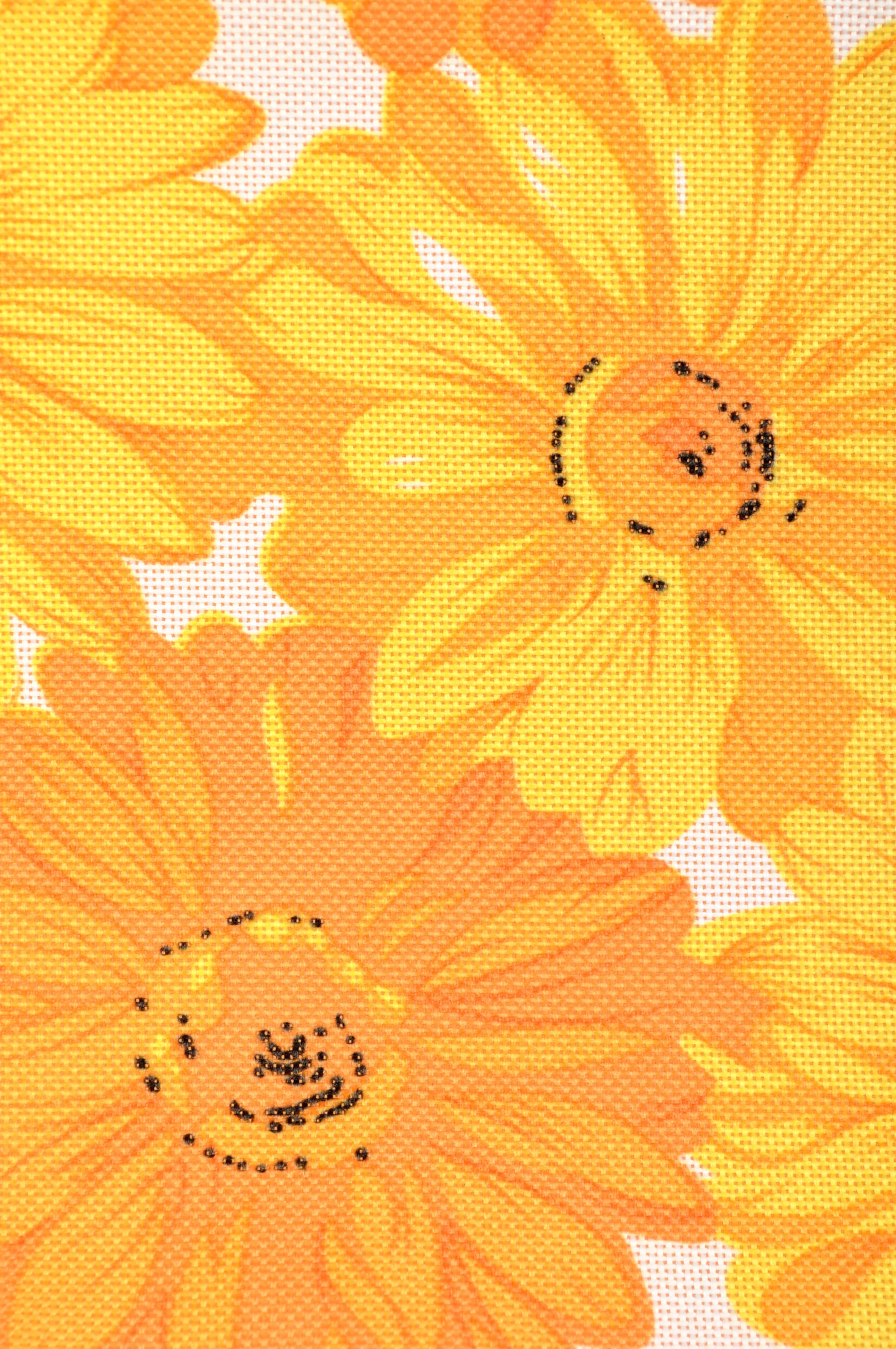 Sunkissed Daisy LMT Fabric.JPG