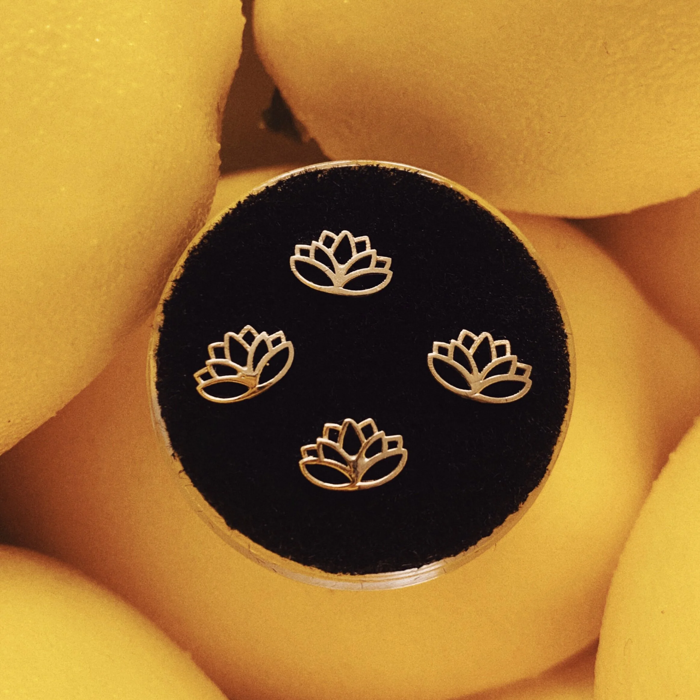 2382AC95-2EAE-40A5-9D5E-3BDE93D79D2B