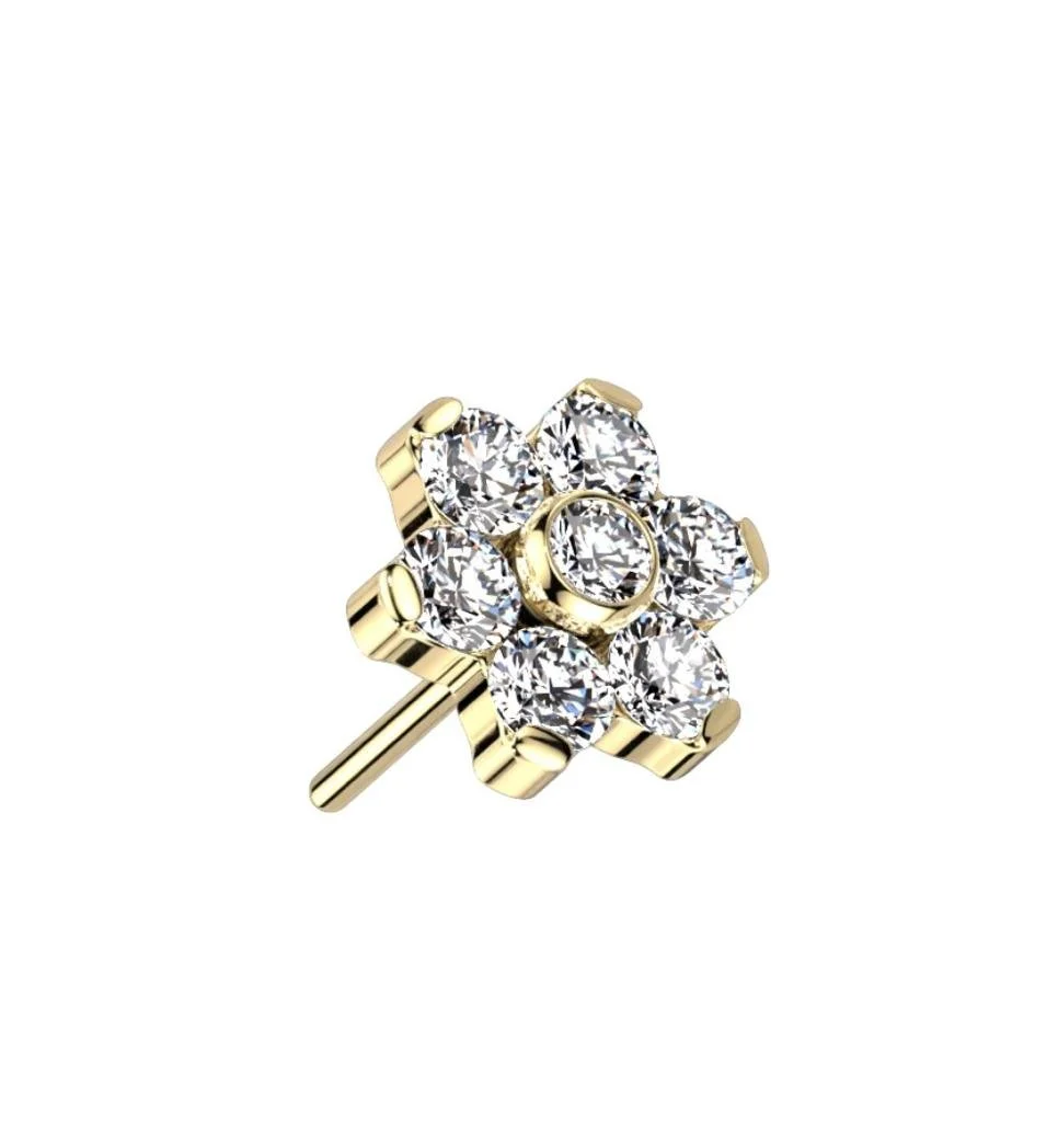 WhatsApp Image 2023-05-19 at 9.07.58 AM (1).jpeg