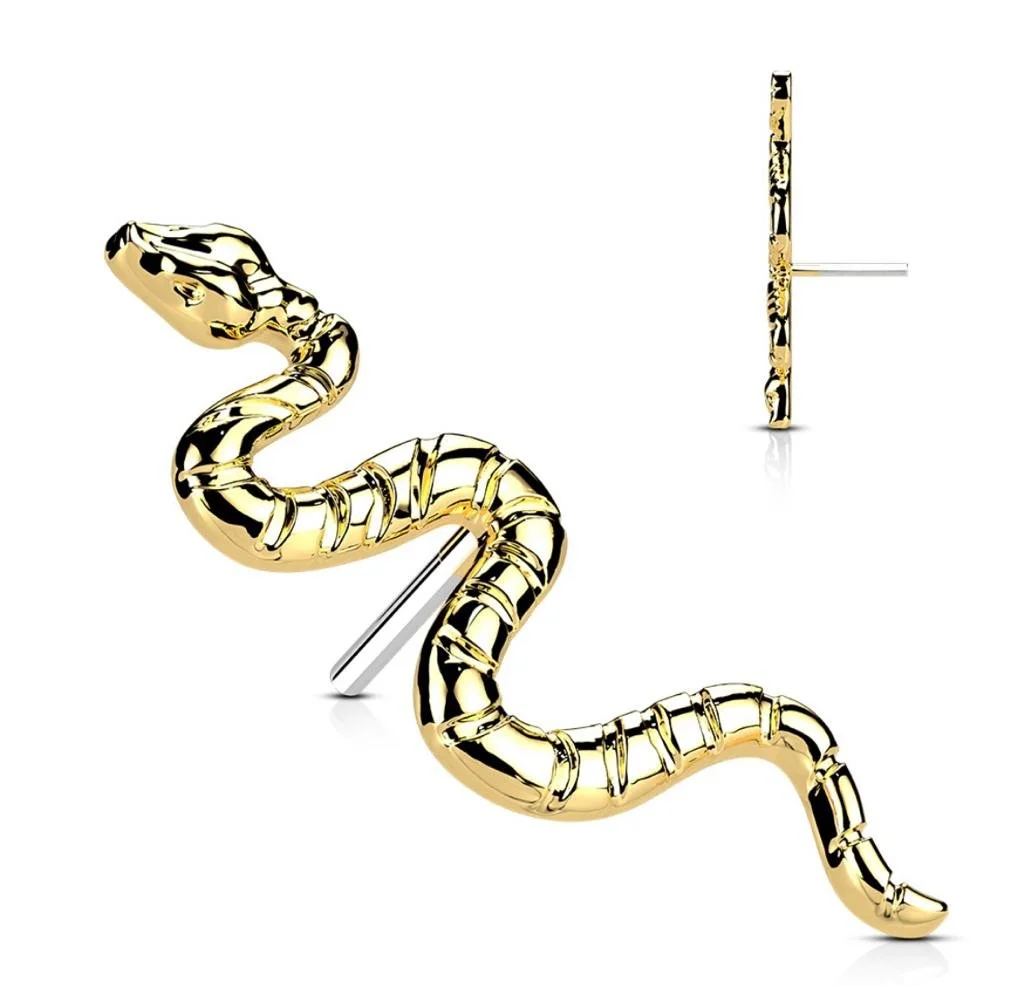 WhatsApp Image 2023-05-19 at 9.08.23 AM (1).jpeg