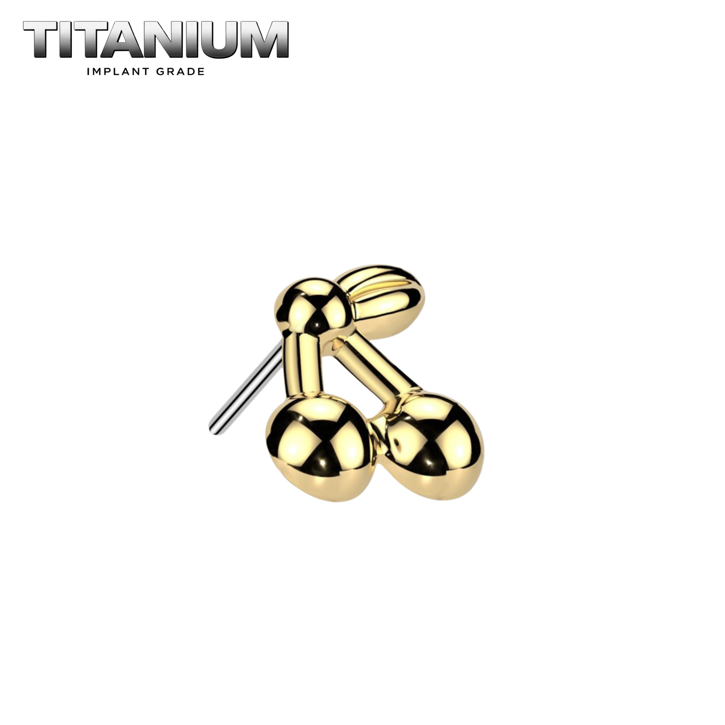 Nose Ring Titanium - 42.png