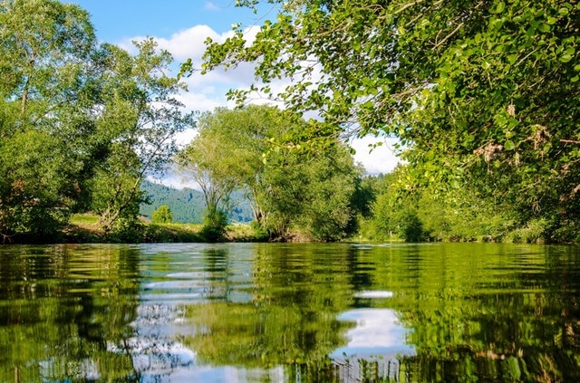 Satu-Korby- trees-lake-serene-min.jpg