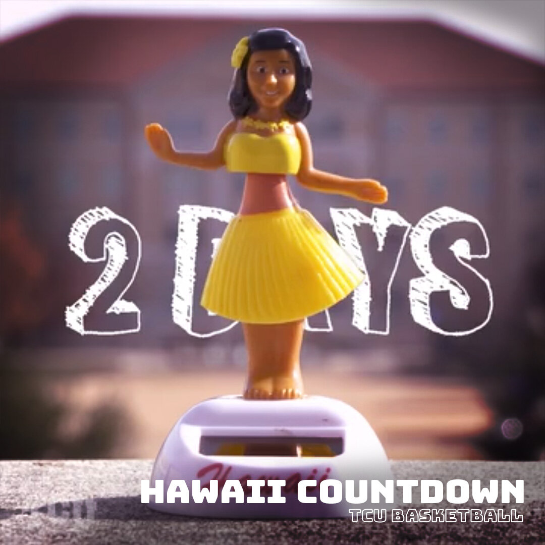 Hawaii Hula Girl Countdown