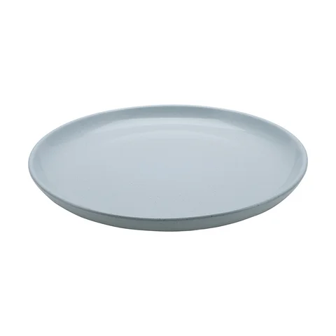 Dinner plate